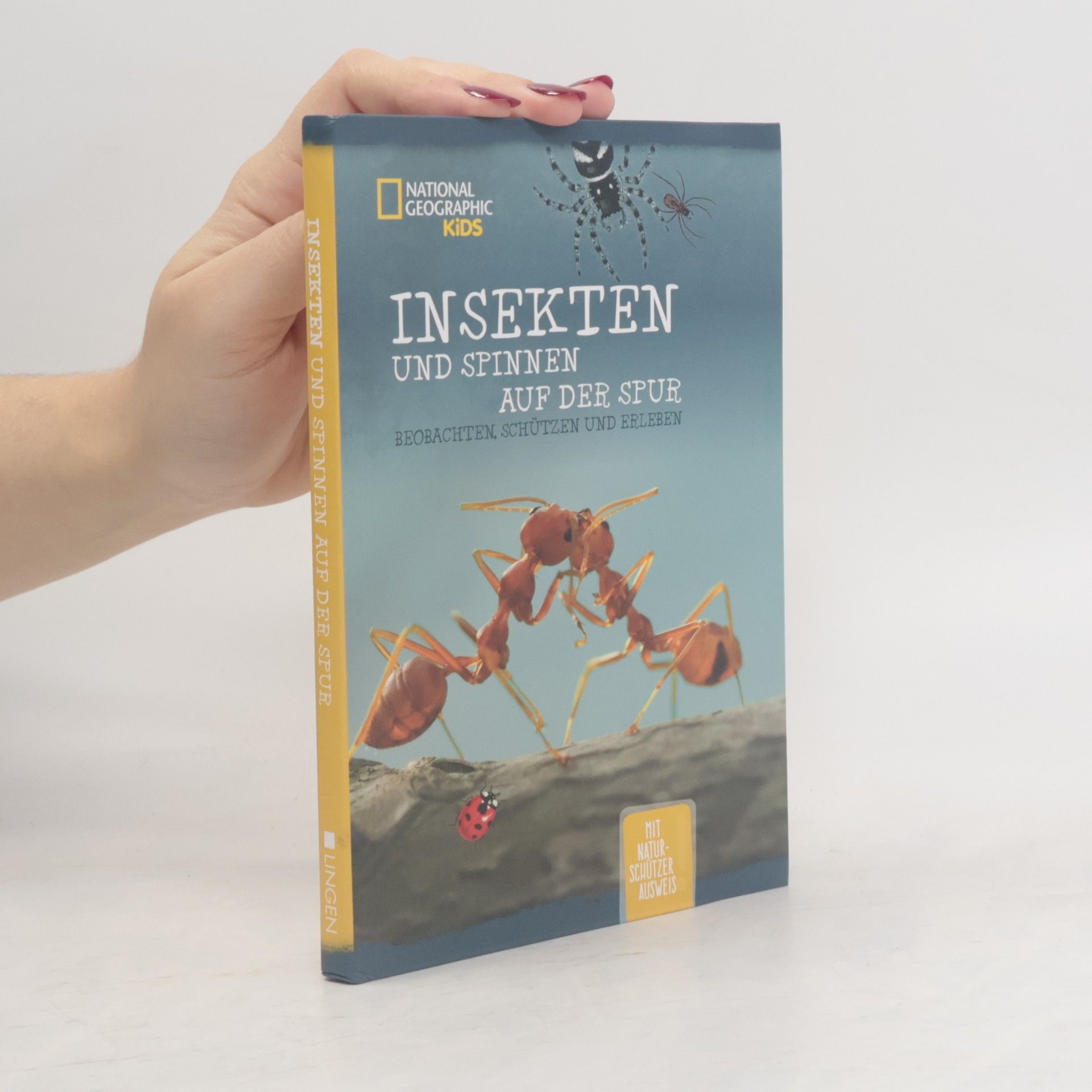 Autores varios Insekten und spinnen auf der Spur