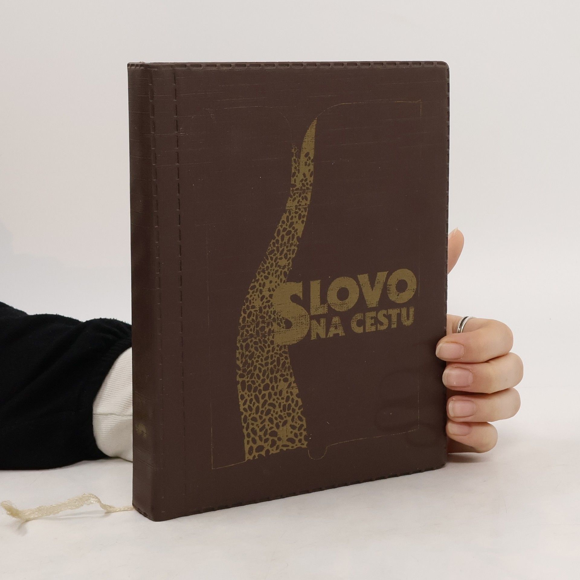 Autorenkollektiv Slovo na cestu. Parafrázovaný text Nového zákona.