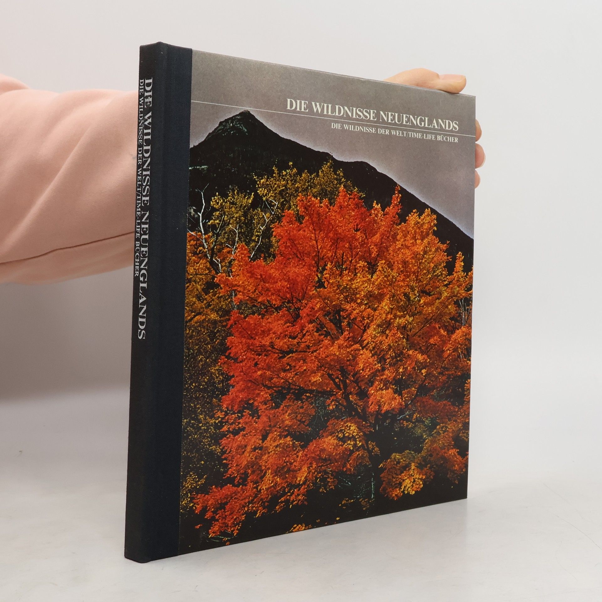 Kolektiv autorů Die Wildnisse Neuenglands