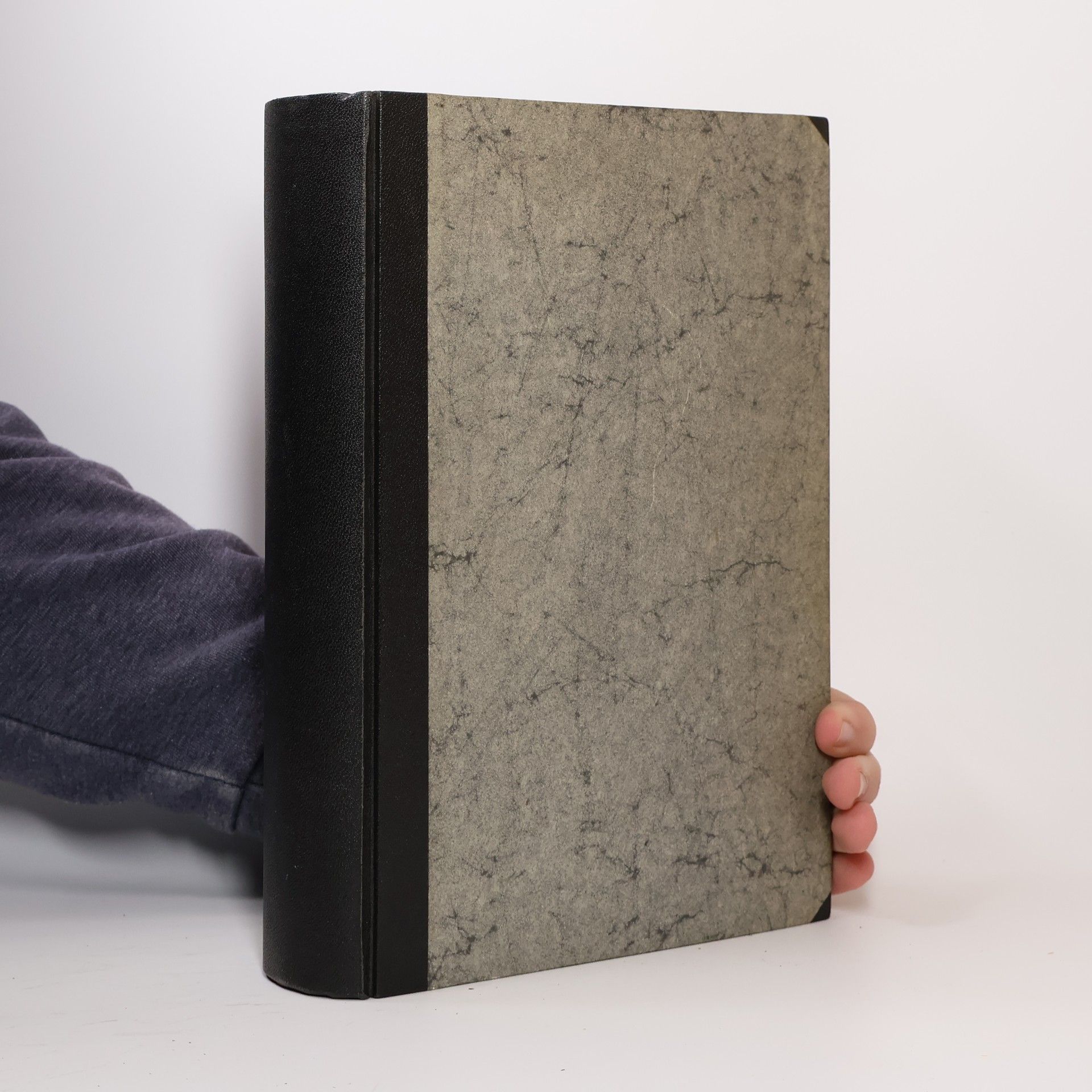 Kolektiv autorů Lexikon zur Bibel