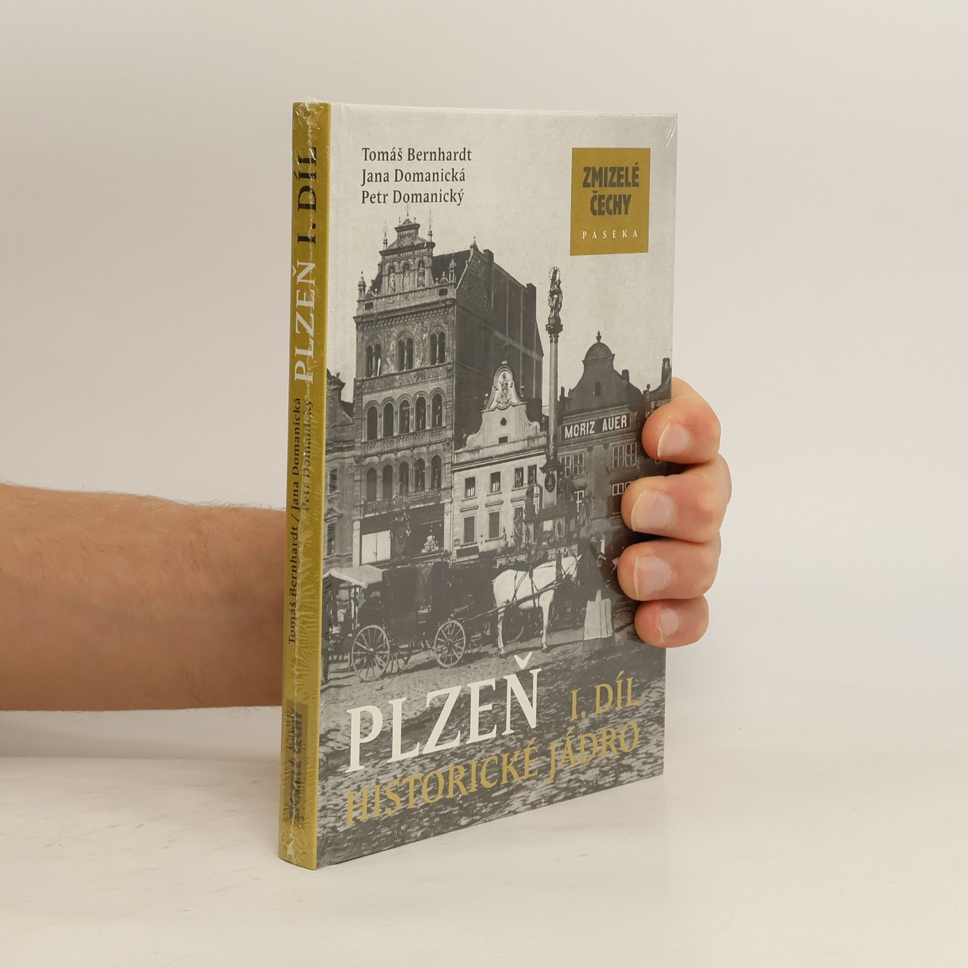 Plzeň I: Historické jádro