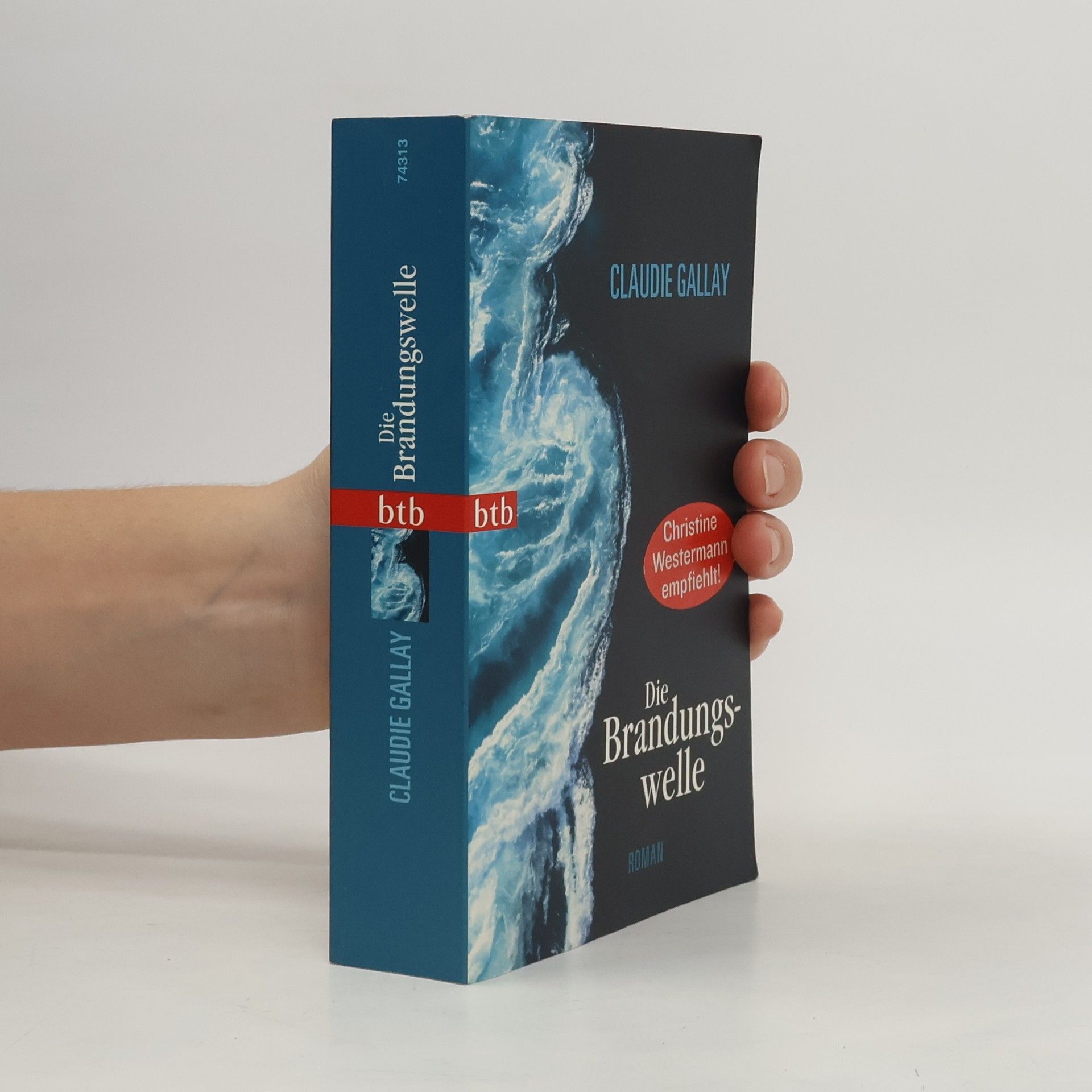 Claudie Gallay Die Brandungswelle