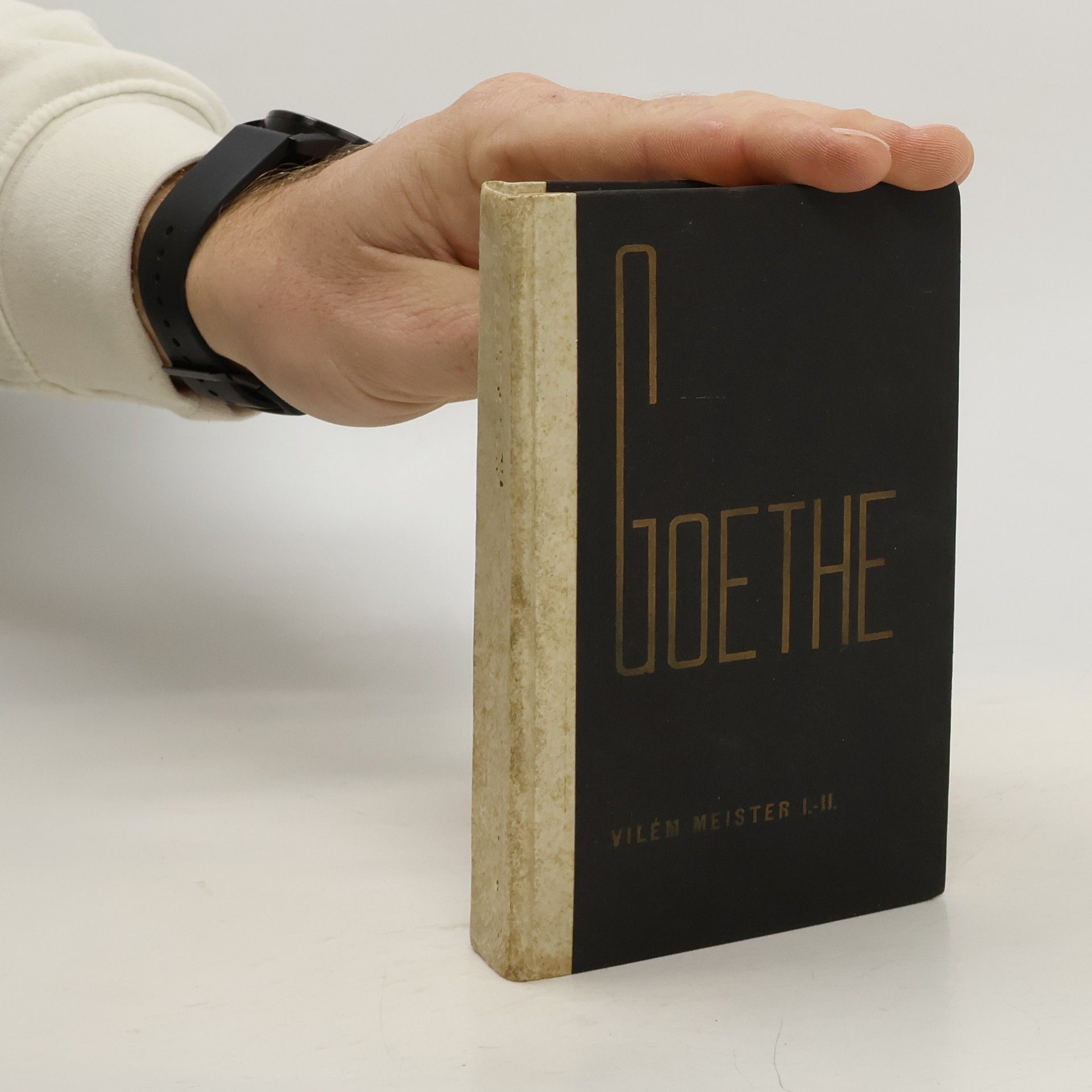 Johann Wolfgang von Goethe Viléma Meistera léta učednická. Prvý díl