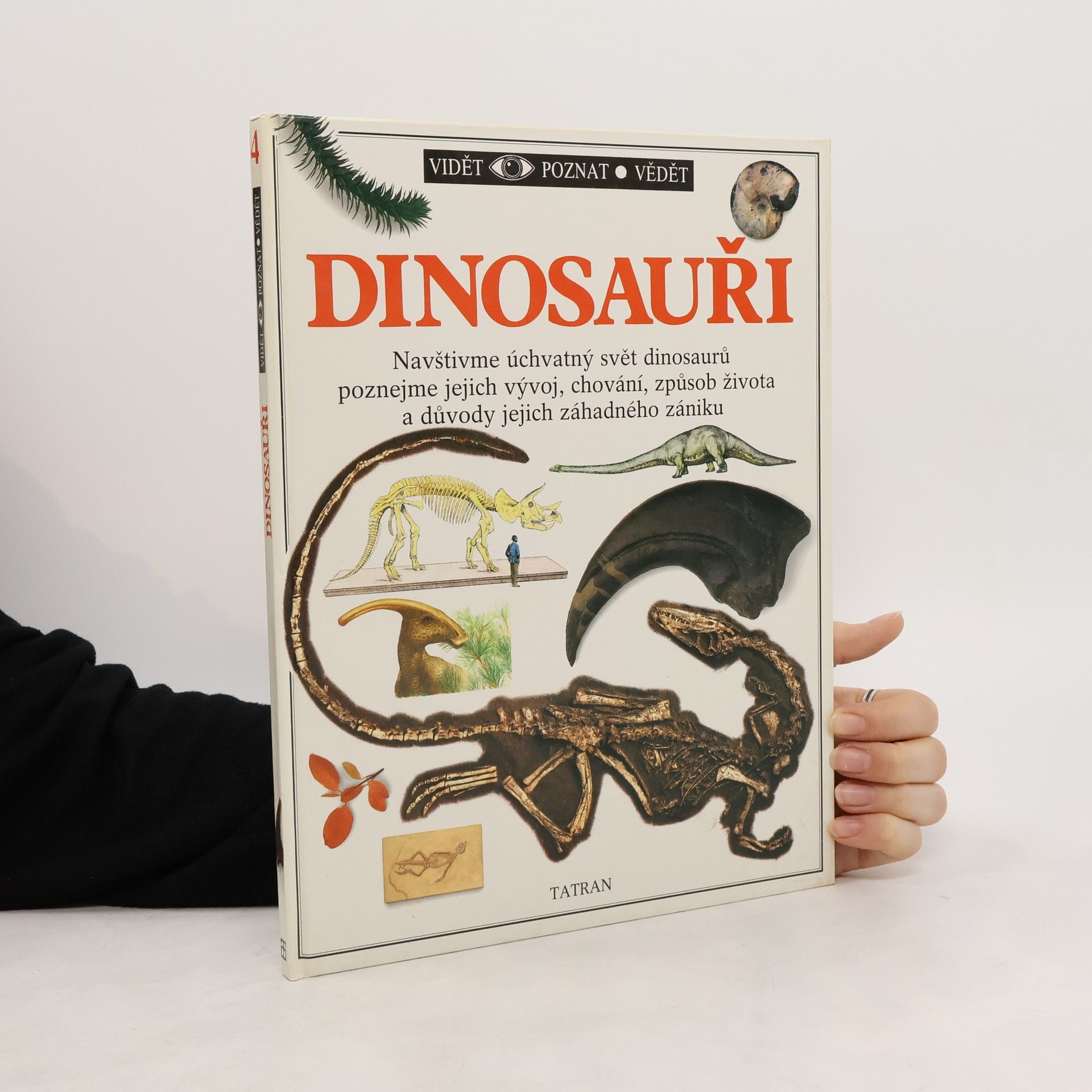Autores varios Dinosauři