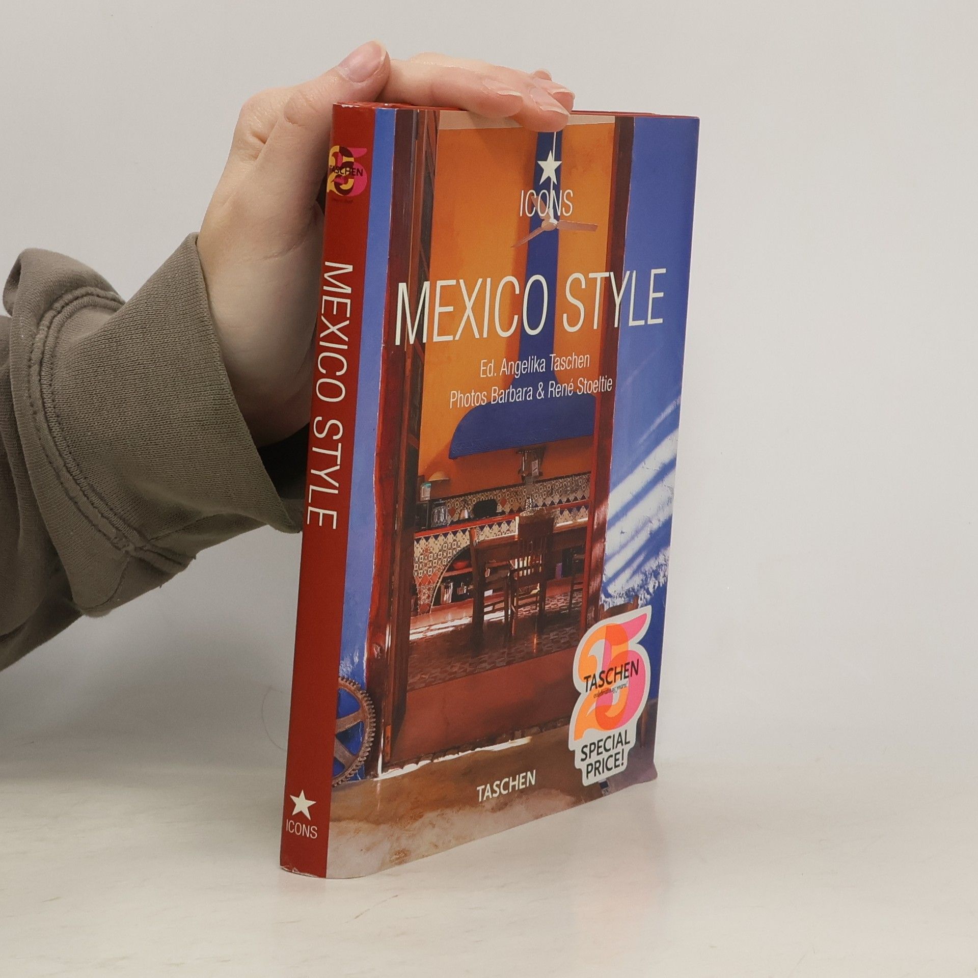 Mexico style : exteriors, interiors, details