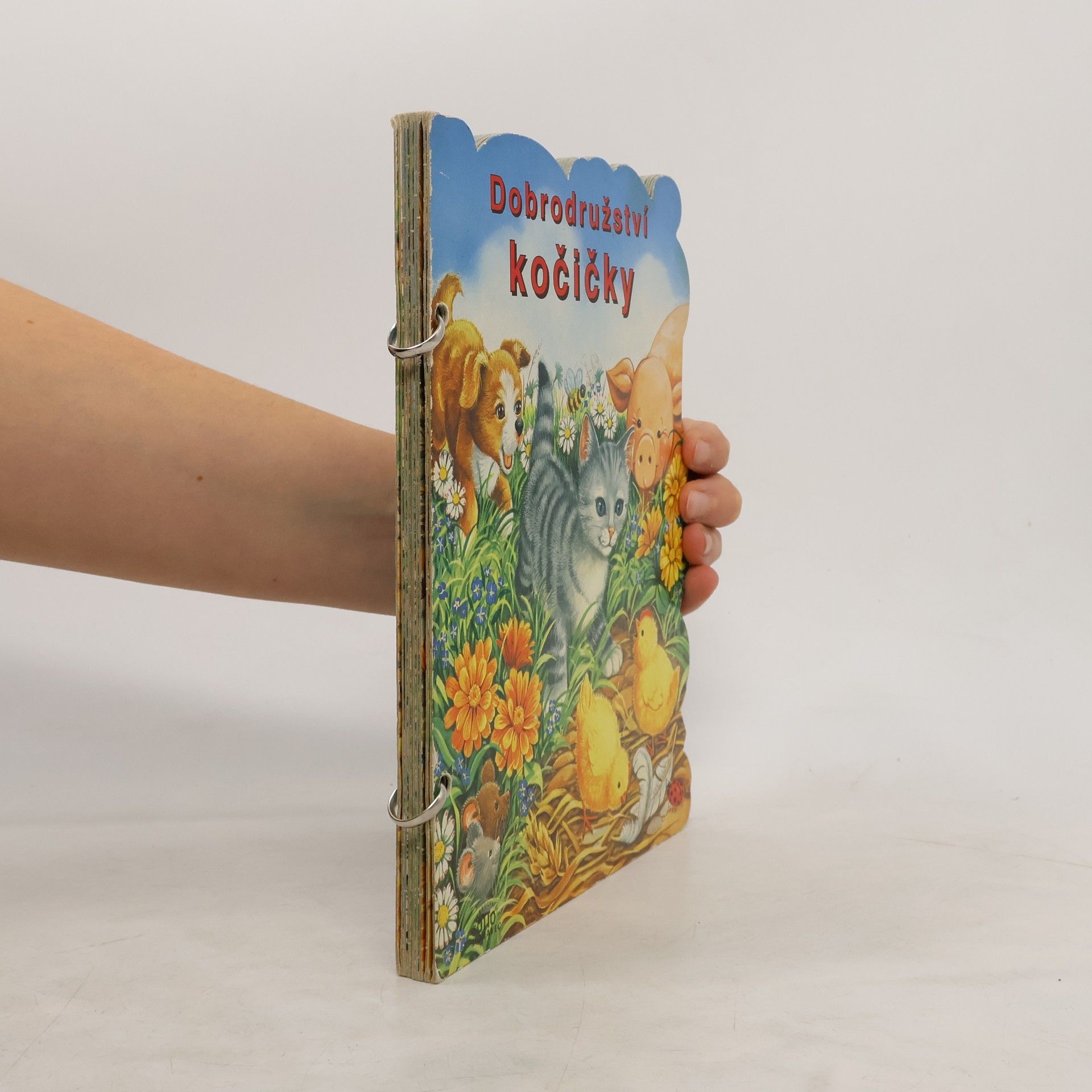 Dobrodružství kočičky