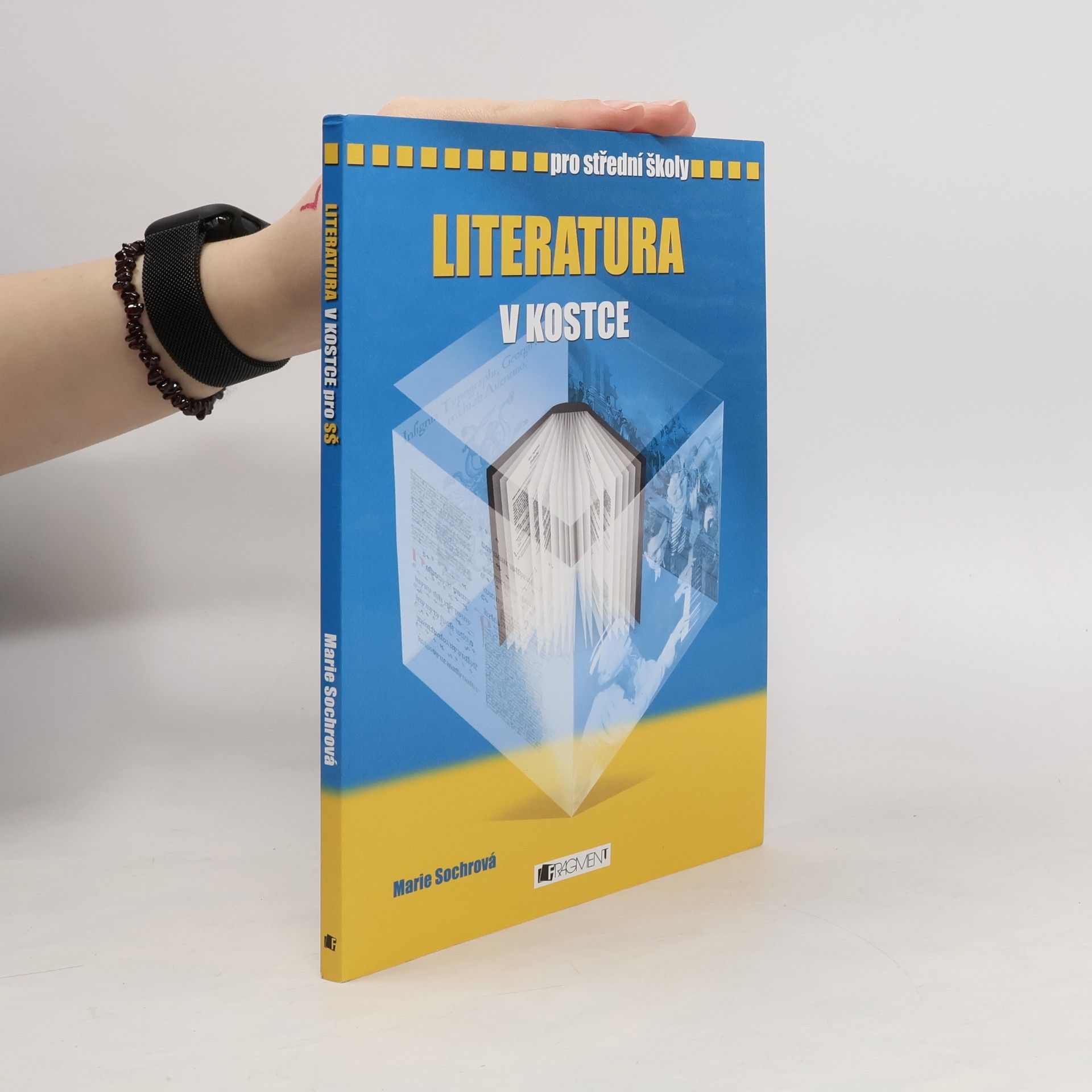 Marie Sochrová Literatura v kostce : pro střední školy