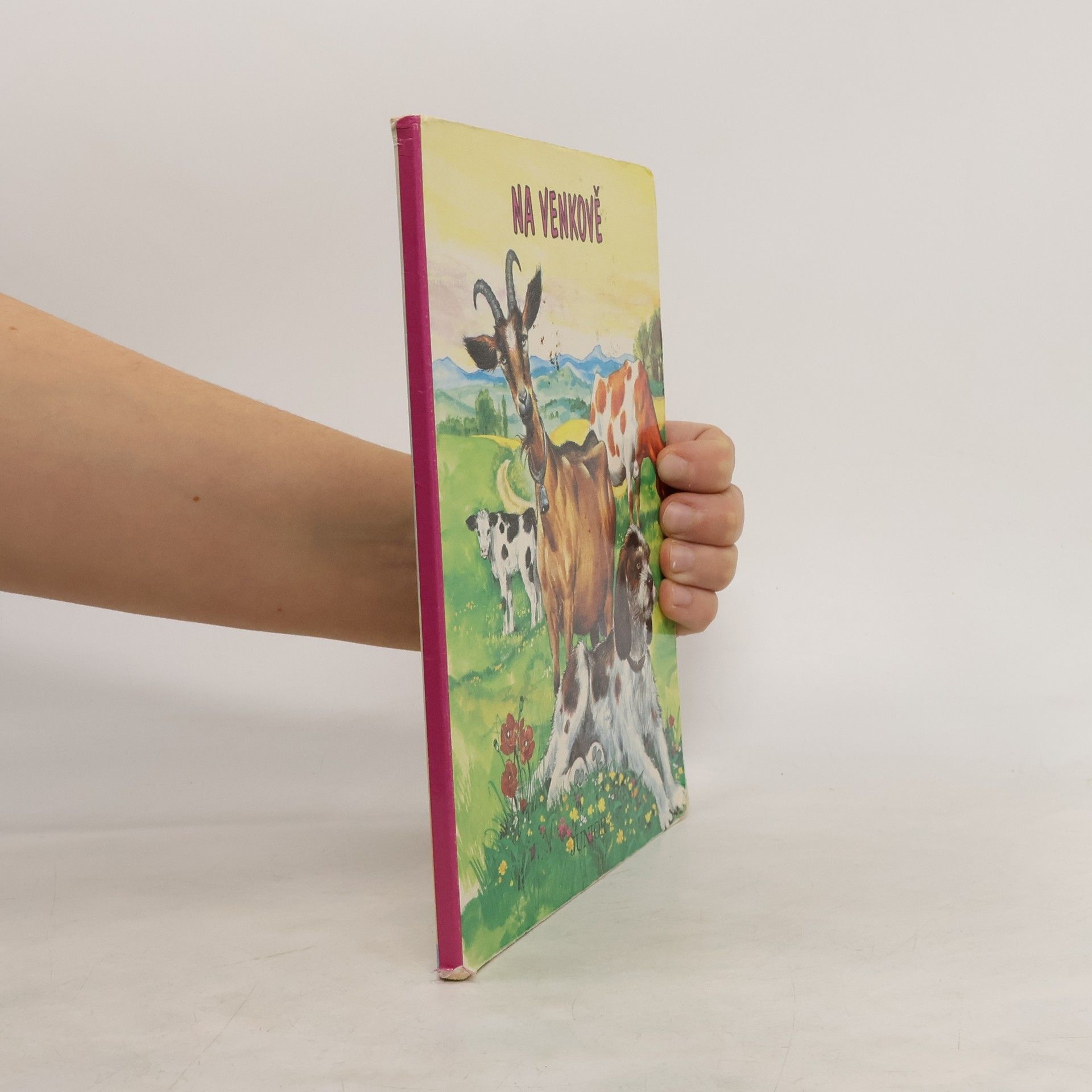 Collectif d'auteurs Na venkově