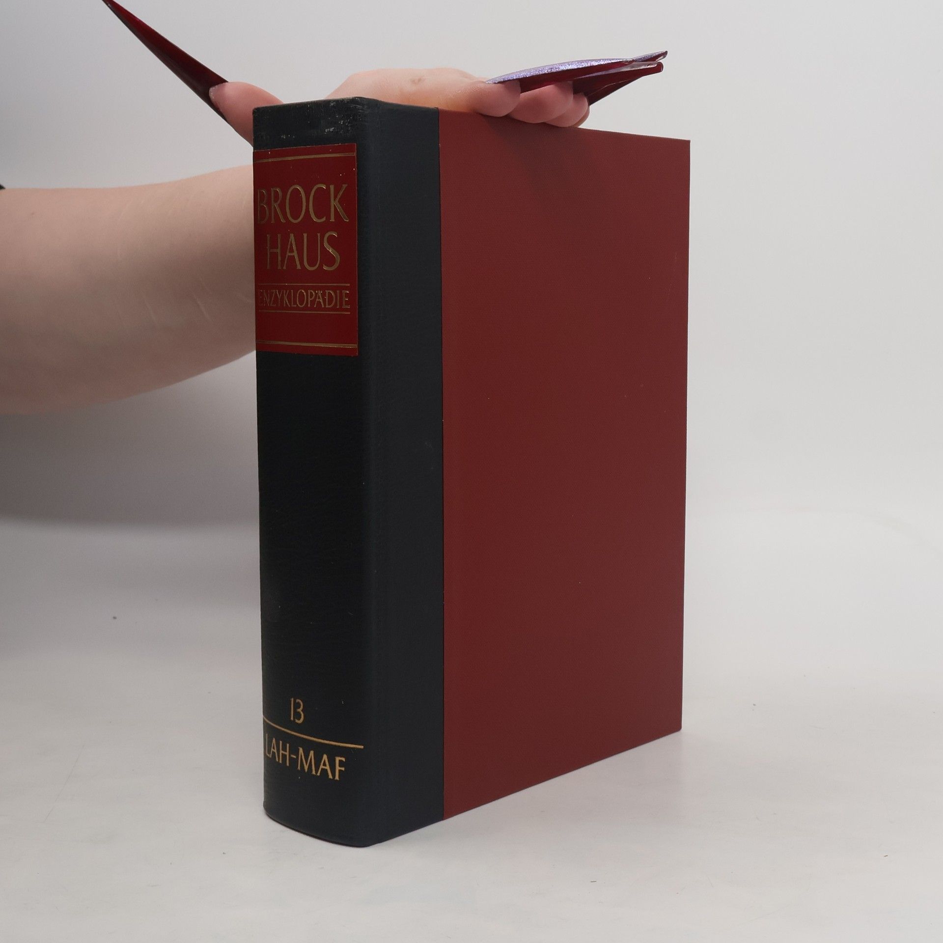 AA.VV. Brockhaus Enzyklopädie 13