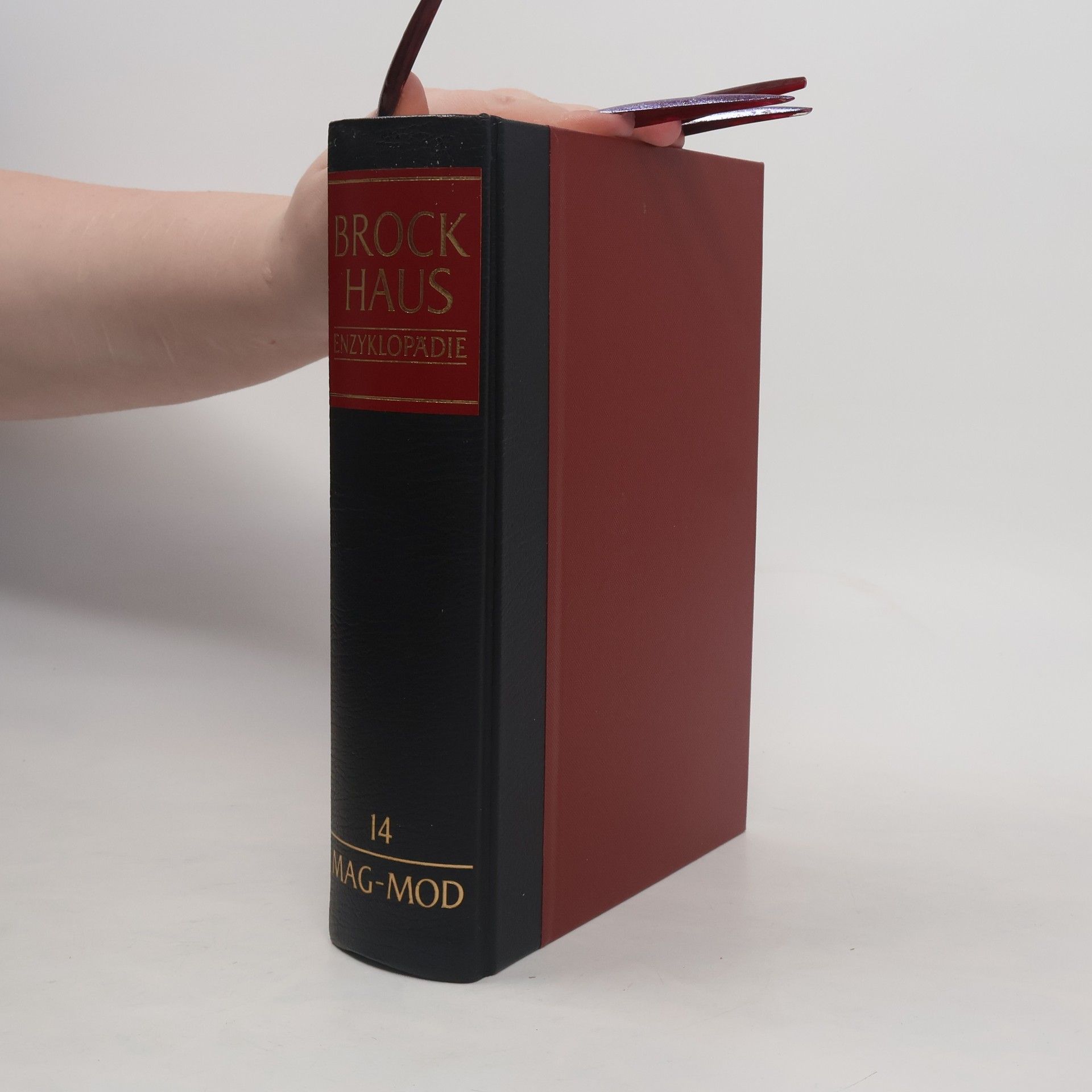 Autorenkollektiv Brockhaus Enzyklopädie 14 (MAG-MOD)