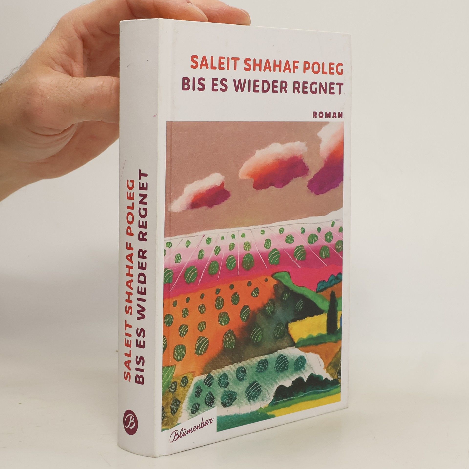 Saleit Shahaf Poleg Bis es wieder regnet