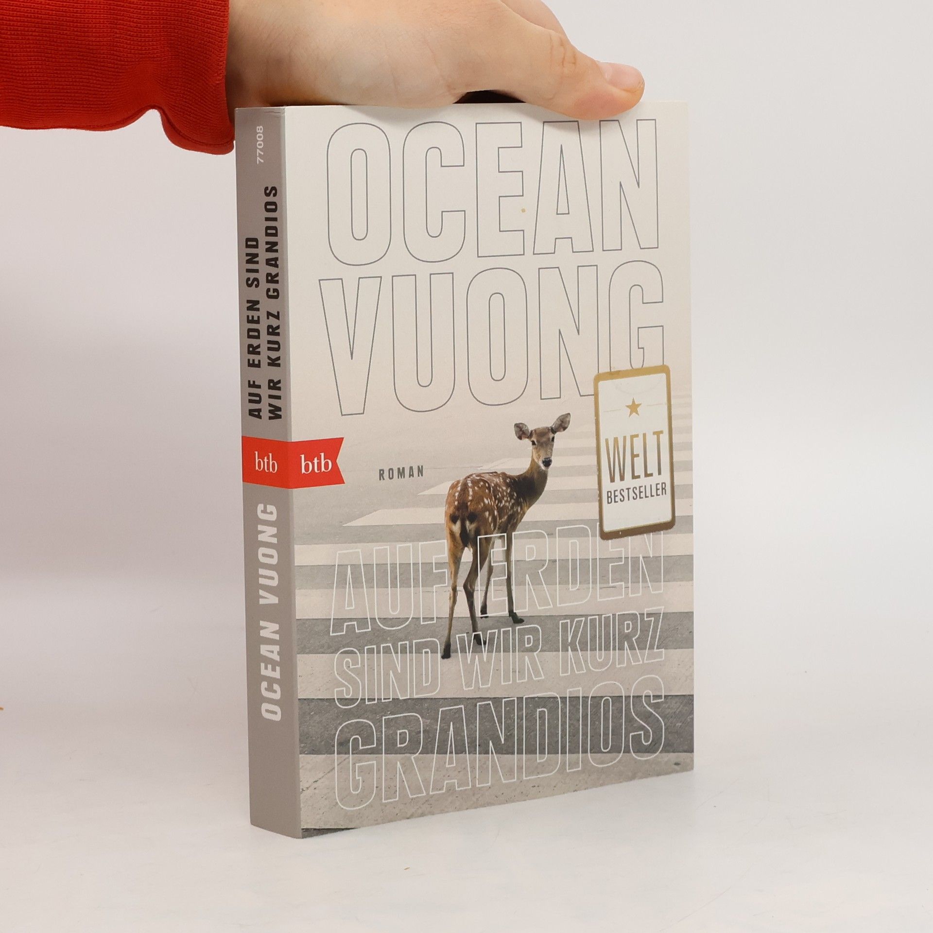 Ocean Vuong Auf Erden sind wir kurz grandios