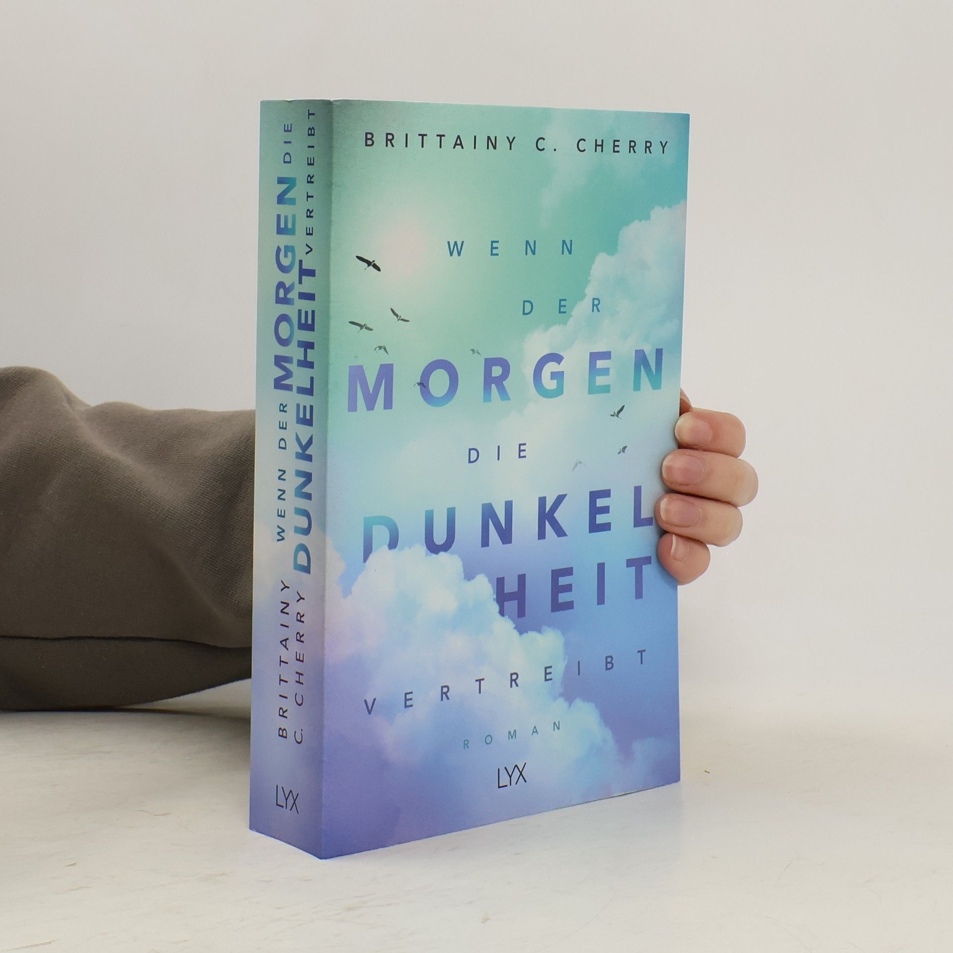 Brittainy C. Cherry Wenn der Morgen die Dunkelheit vertreibt