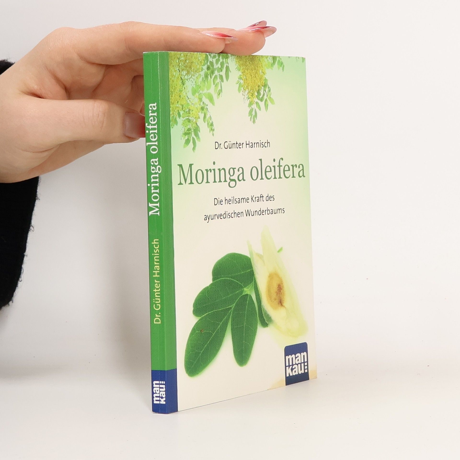 Günter Harnisch Moringa oleifera