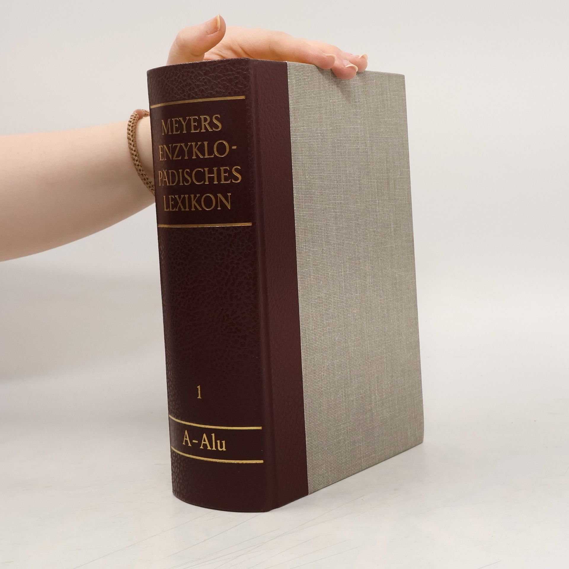 AA.VV. Meyers Enzyklopadisches Lexikon. Band 1