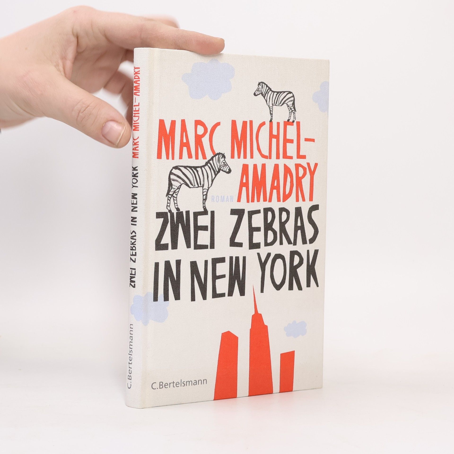 Zwei Zebras in New York
