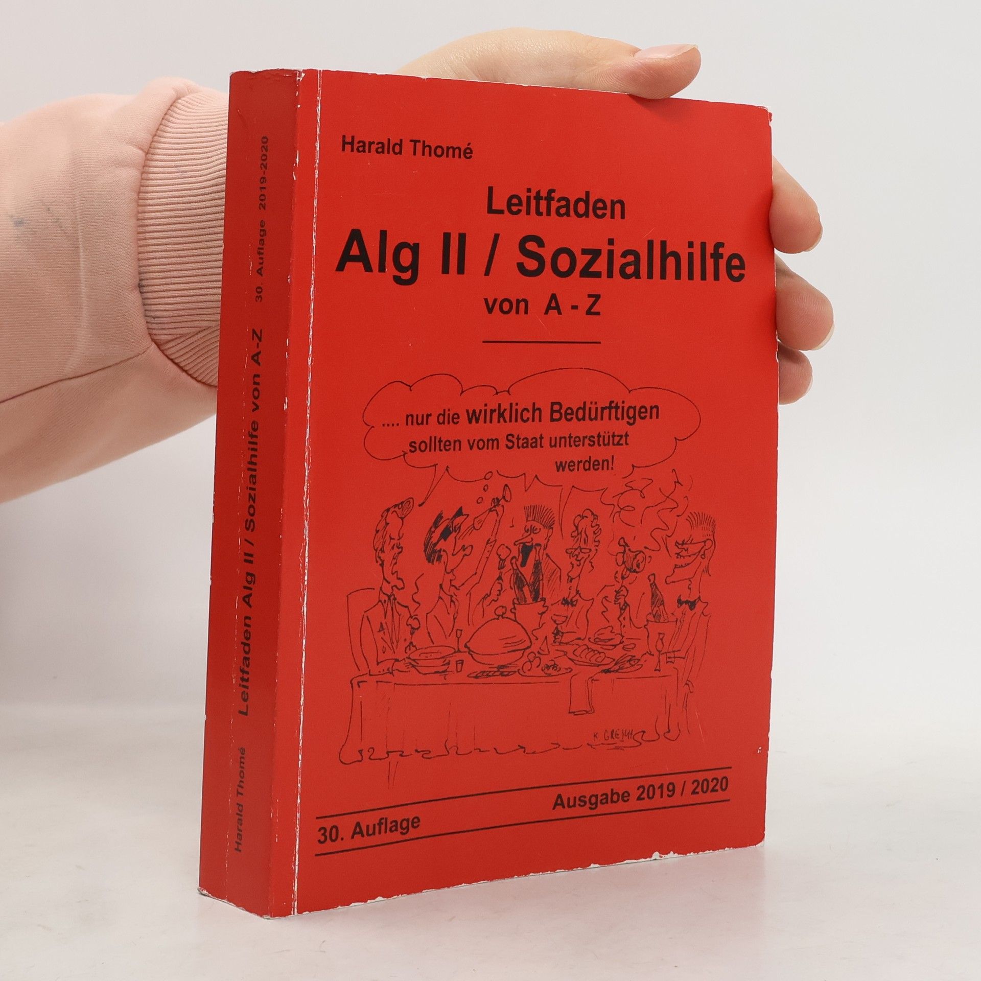Frank Jäger Leitfaden Alg II / Sozialhilfe von A-Z