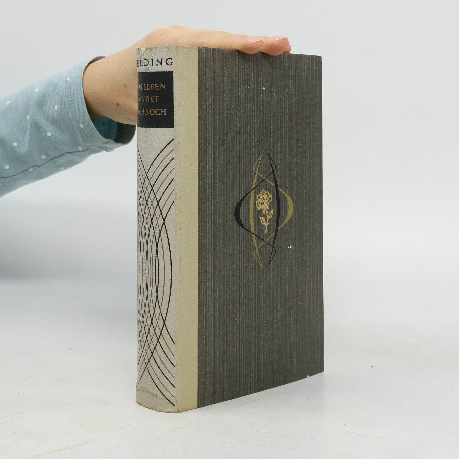 Gabriel Fielding Das Leben findet dich noch