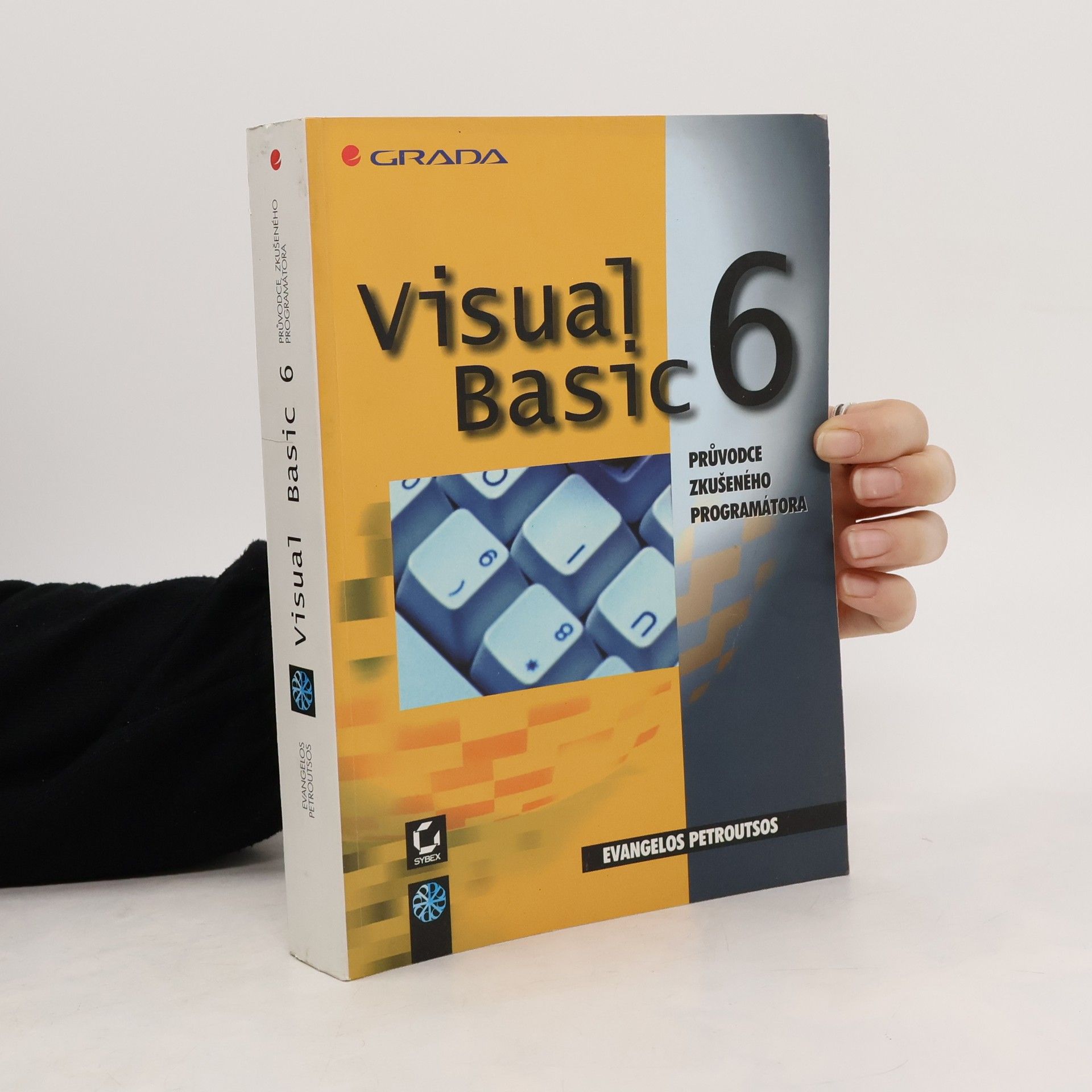 Evangelos Petroutsos Visual Basic 6 : průvodce zkušeného programátora