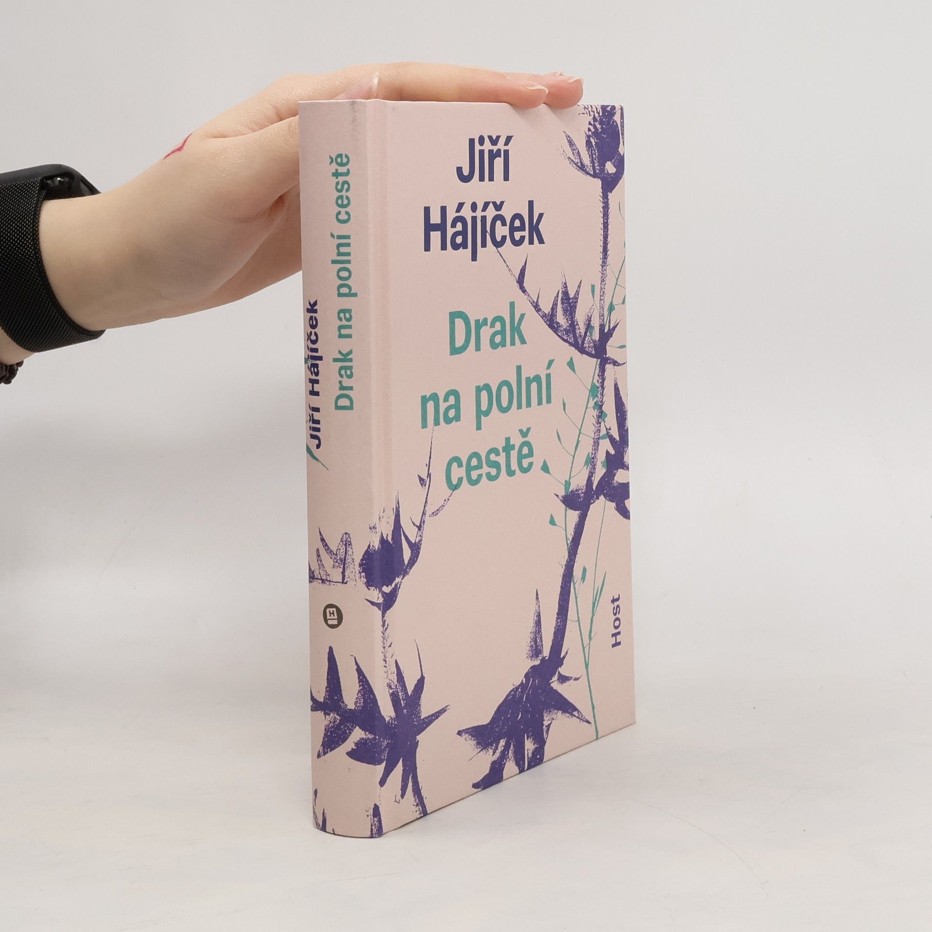 Drak na polní cestě