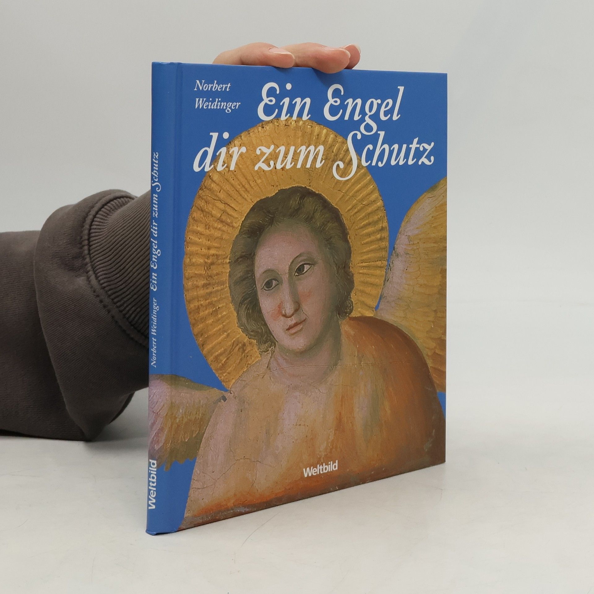 Norbert Weidinger Ein Engel dir zum Schutz