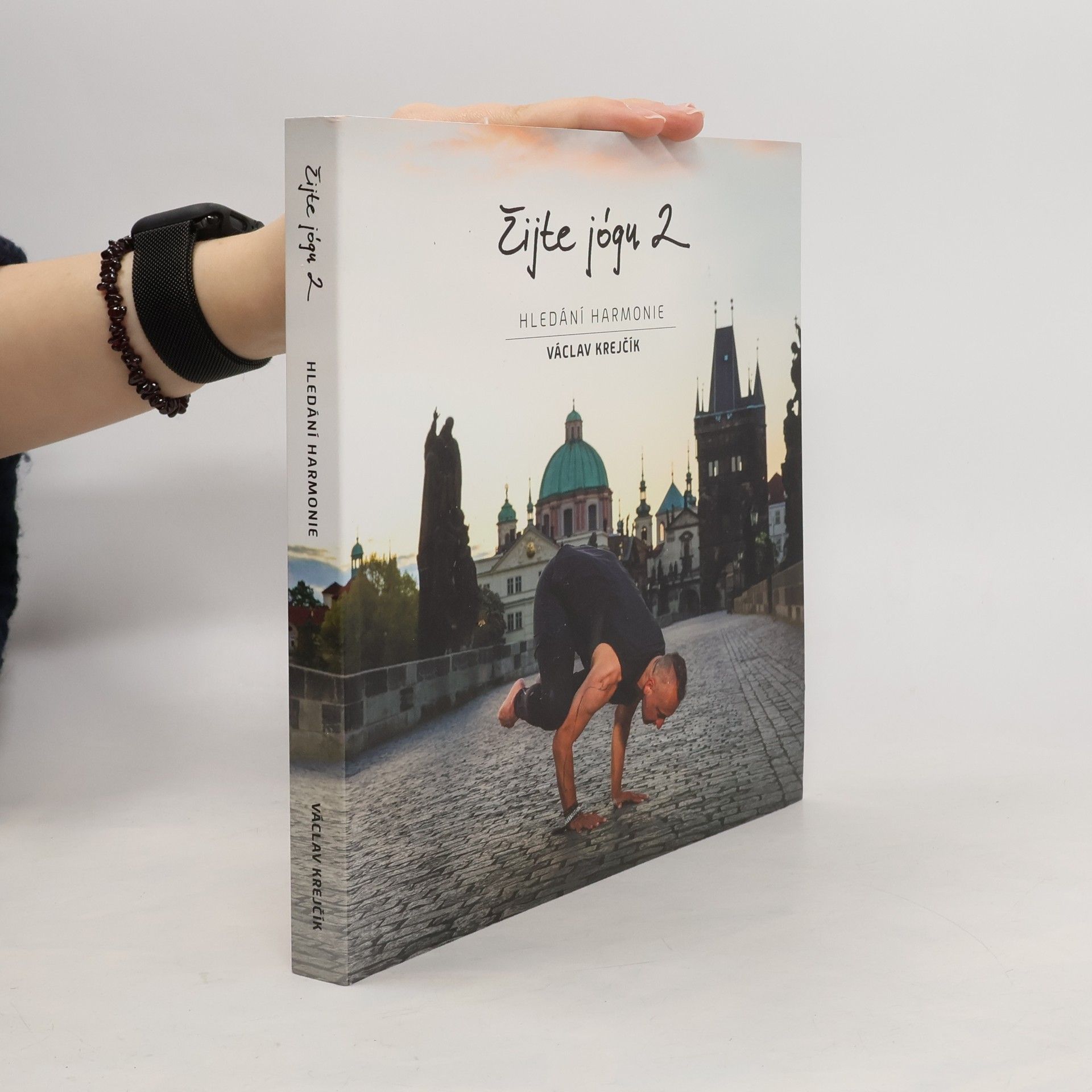 Václav Krejčík Žijte jógu 2 - hledání harmonie
