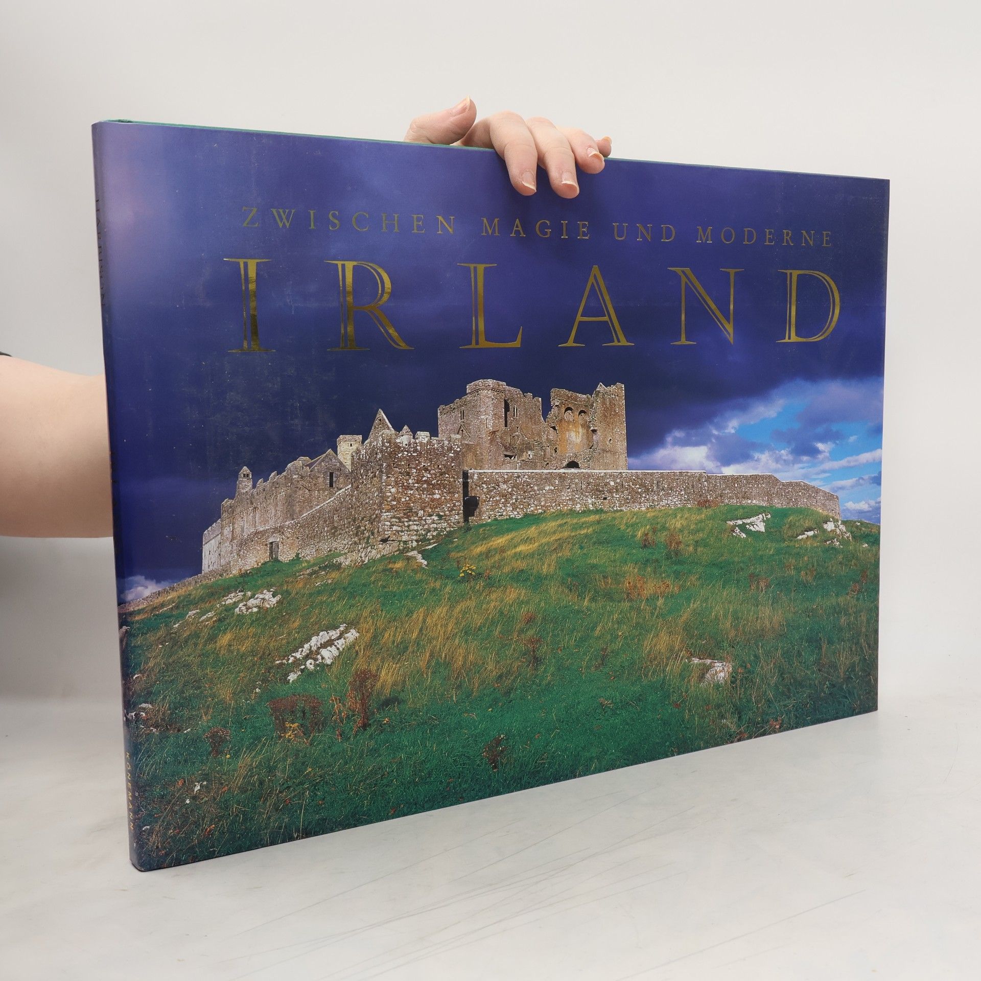 Peter Harbison Irland zwischen Magie und Moderne