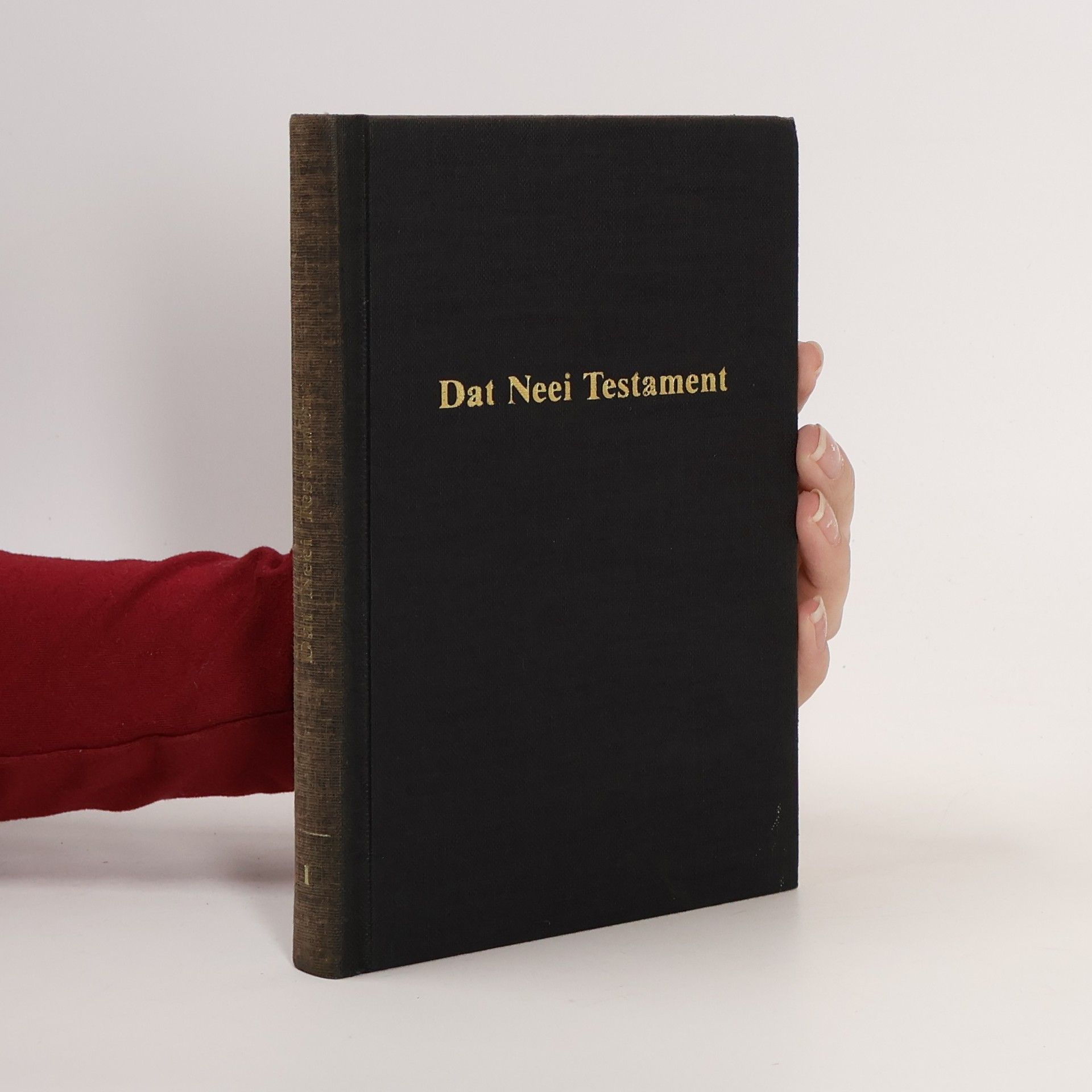 Autorenkollektiv Dat Neei Testament
