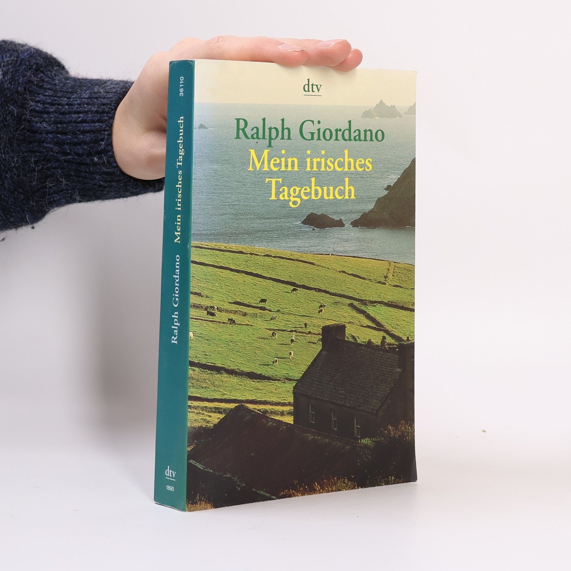 Ralph Giordano Mein irisches Tagebuch