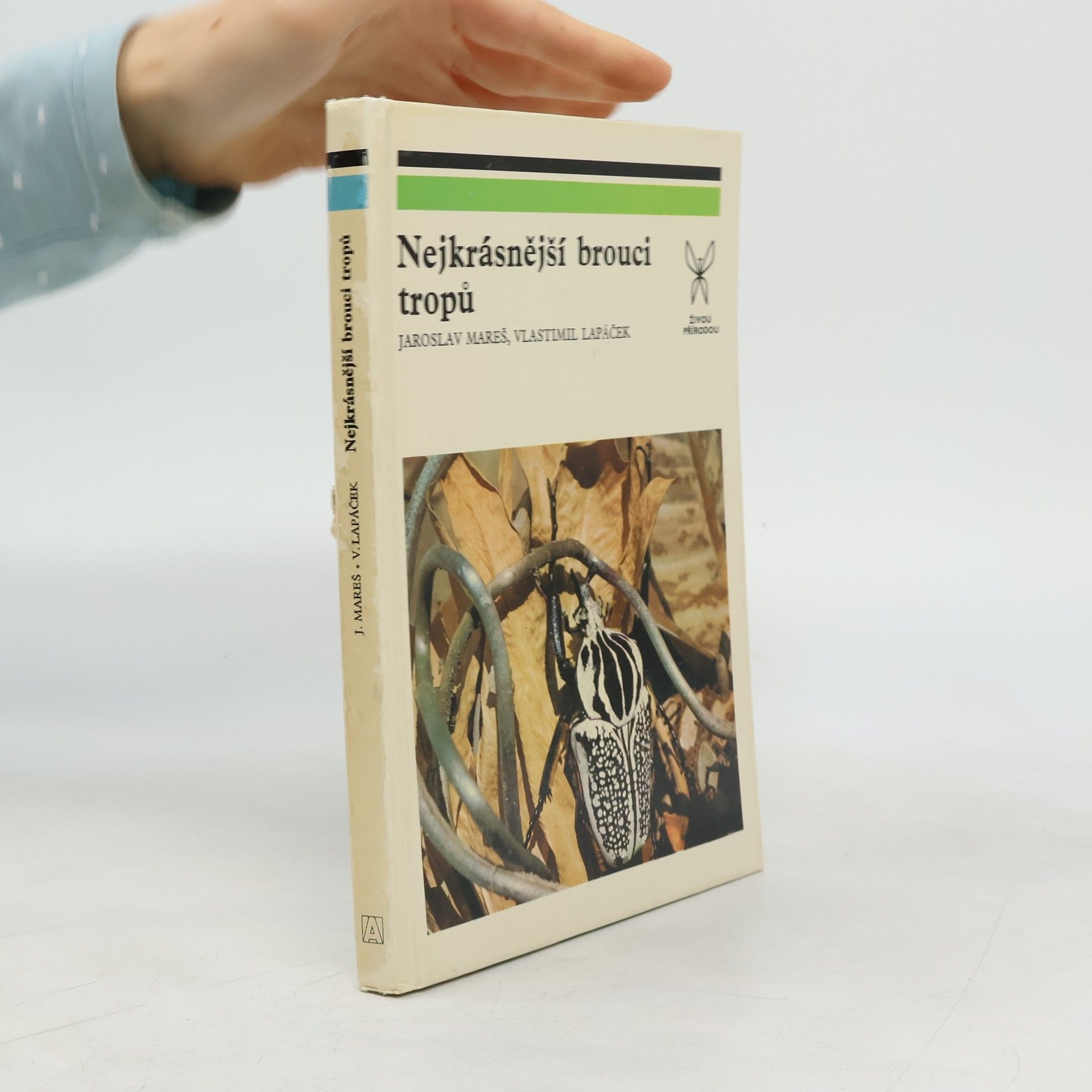 Jaroslav Mareš Nejkrásnější brouci tropů