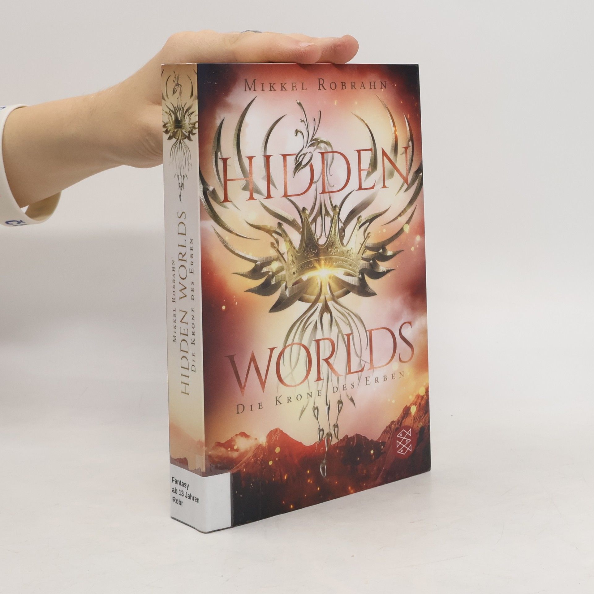 Mikkel Robrahn Die Krone des Erben