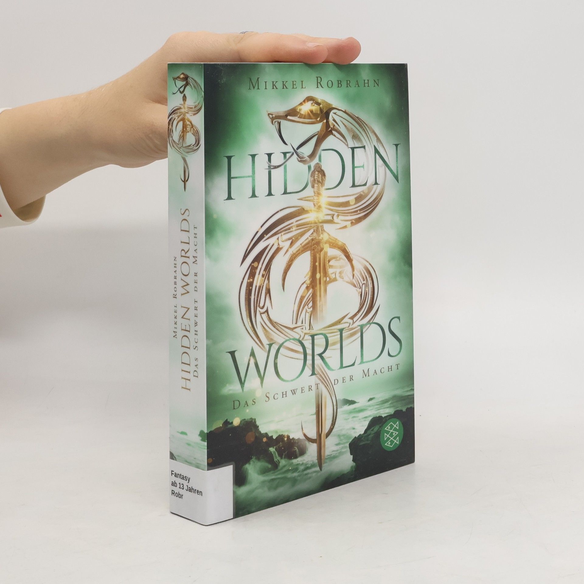 Hidden Worlds 3. Das Schwert der Macht