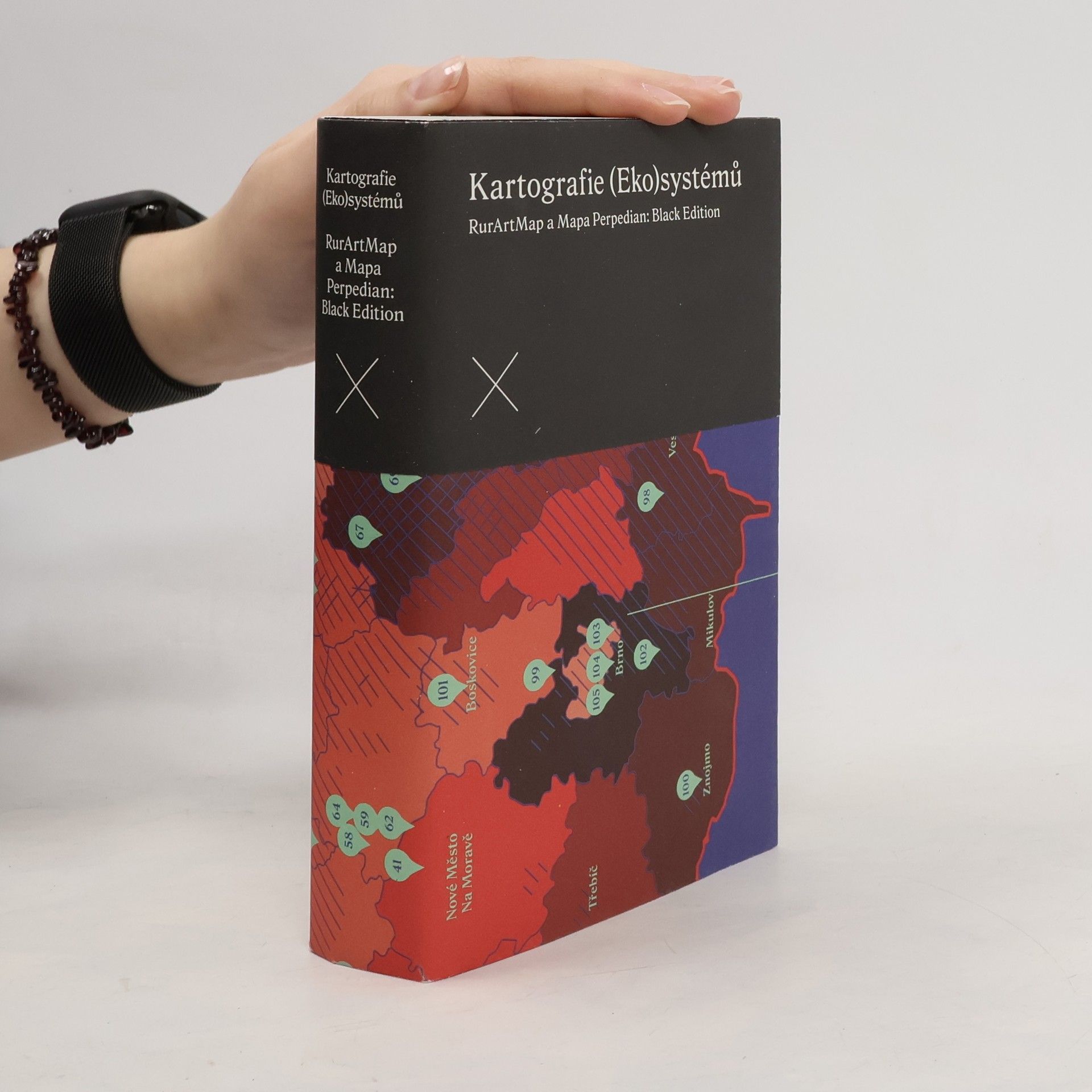 Various authors Kartografie (Eko)systémů RurArtMap a Mapa Perpedian: Black Edition