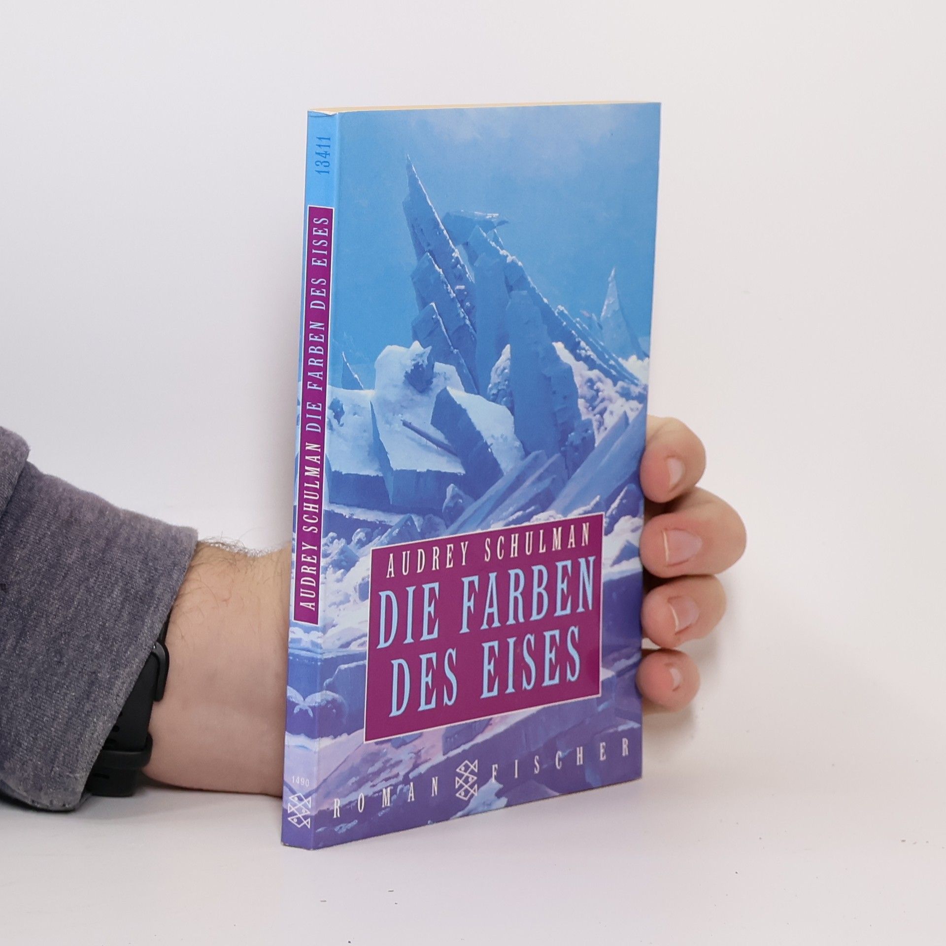 Audrey Schulman Die Farben des Eises