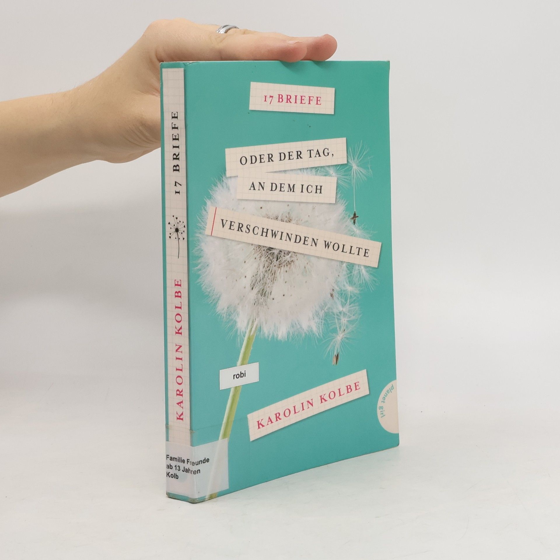 17 Briefe oder der Tag, an dem ich verschwinden wollte