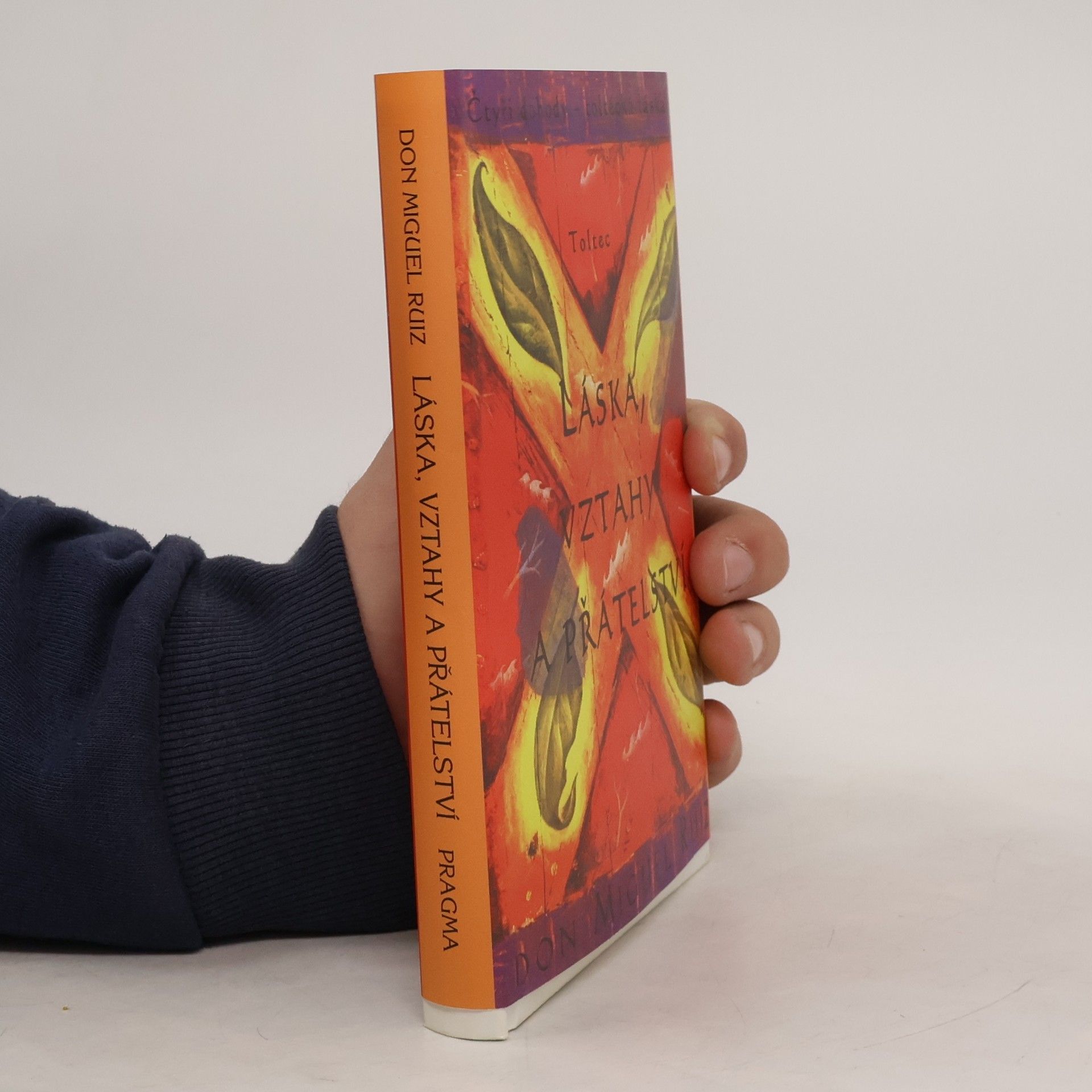 Don Miguel Ruiz Láska, vztahy a přátelství