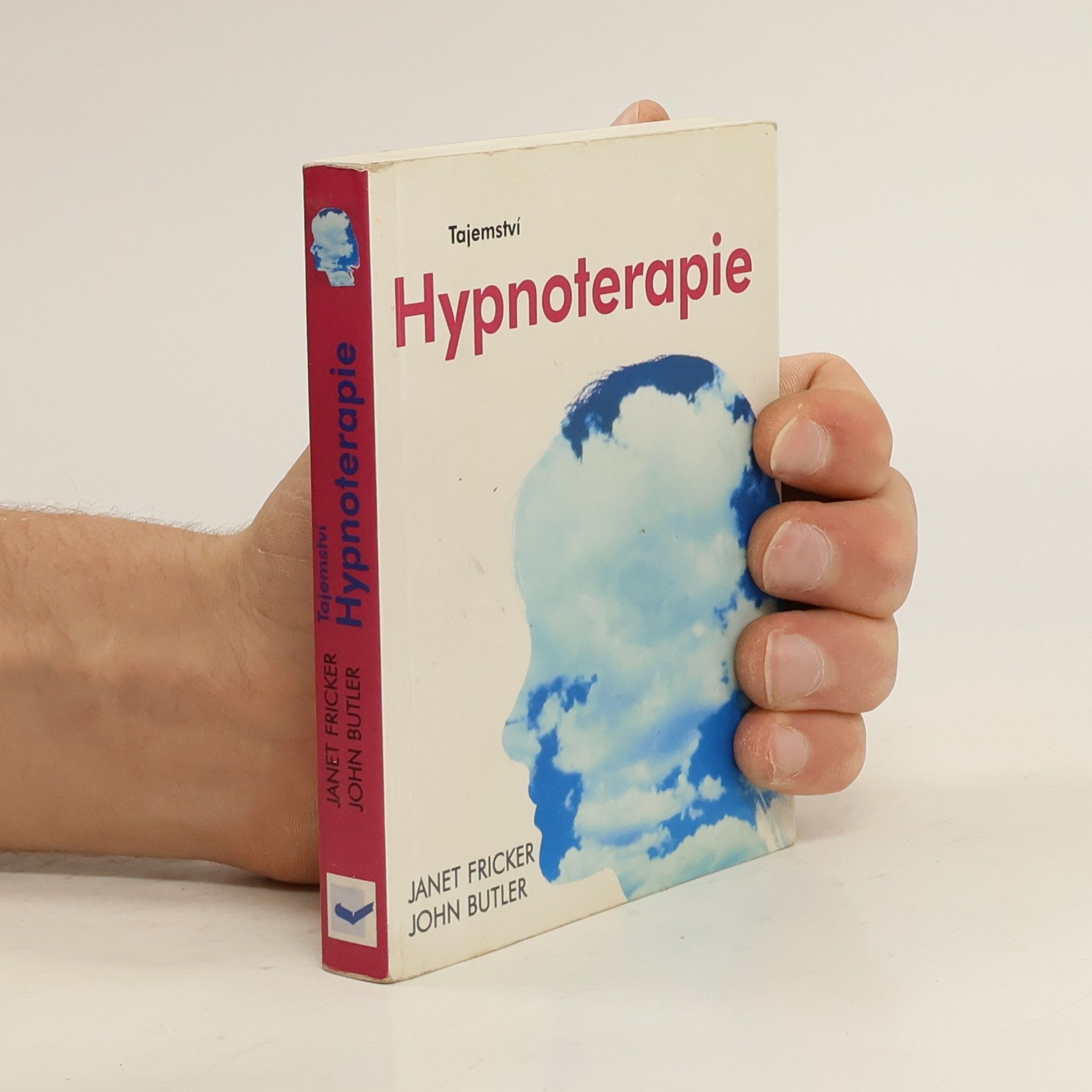 Janet Fricker Tajemství hypnoterapie