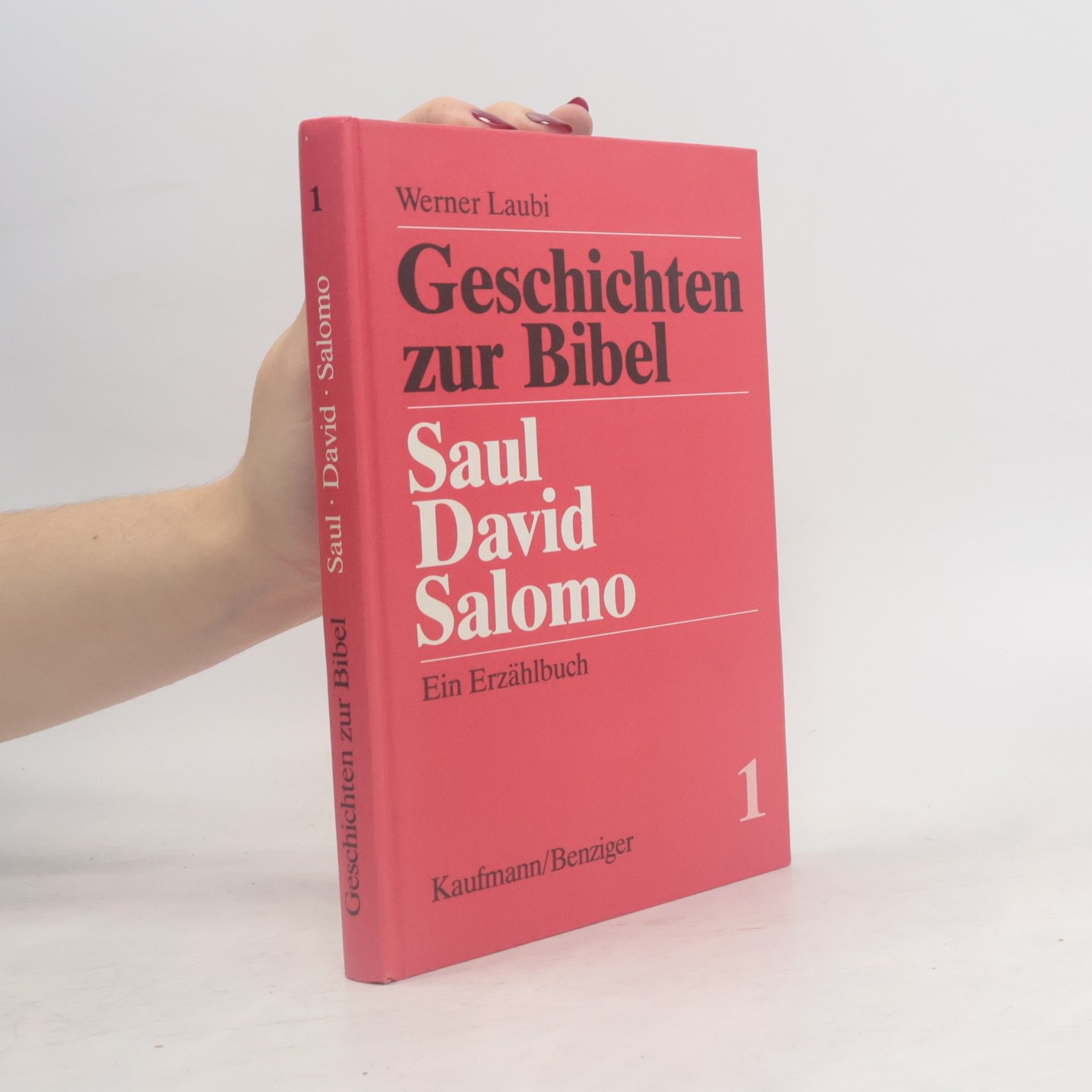 Werner Laubi Geschichten zur Bibel: Saul, David, Salomon. Bd. 1, Ein Erzählbuch