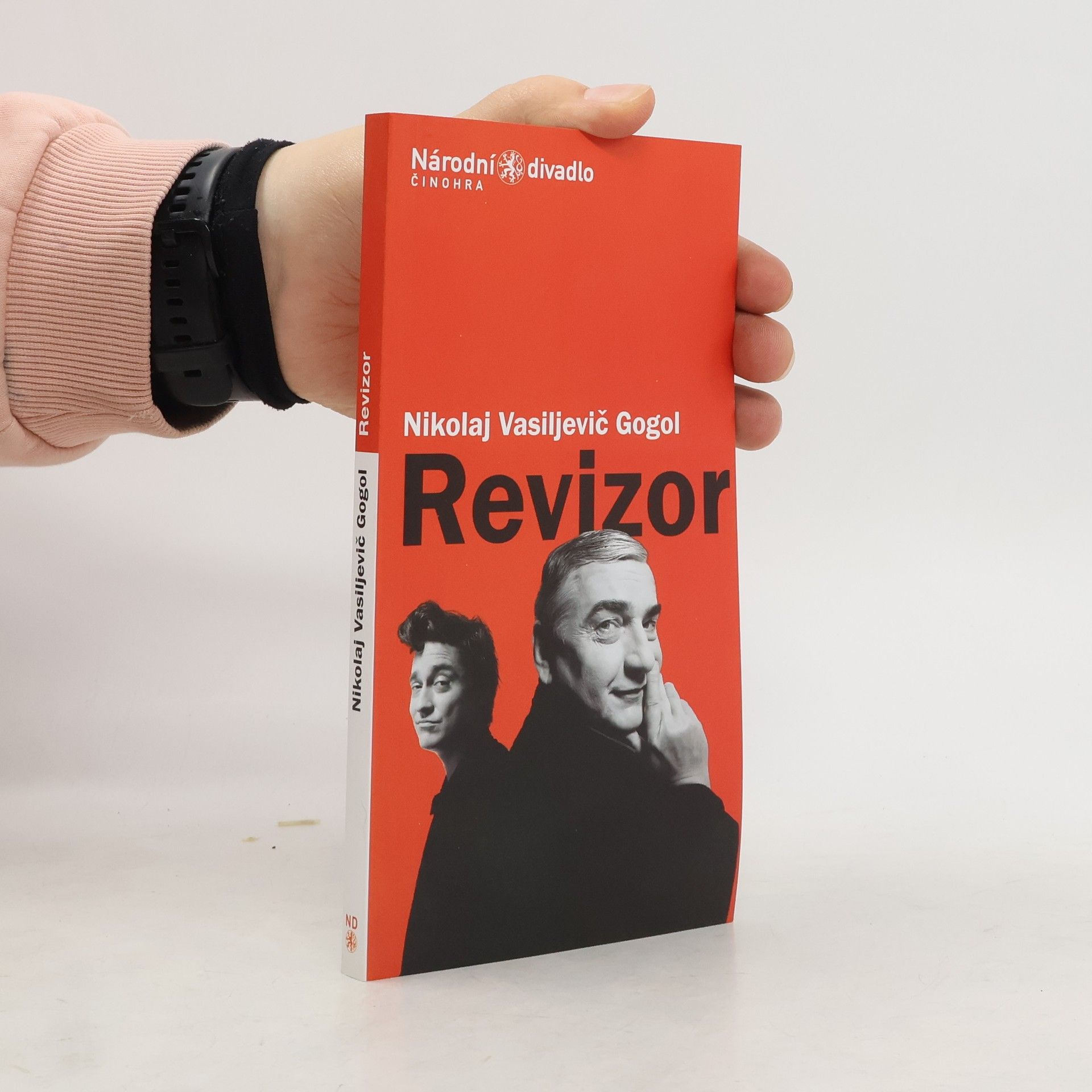 AA.VV. Revizor. Nikolaj Vasiljevič Gogol