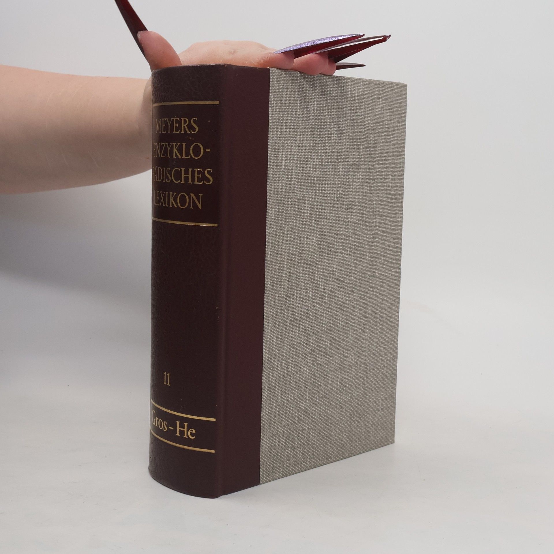 Kolektiv autorů Meyers Enzyklopädisches Lexikon 11. Gros-He
