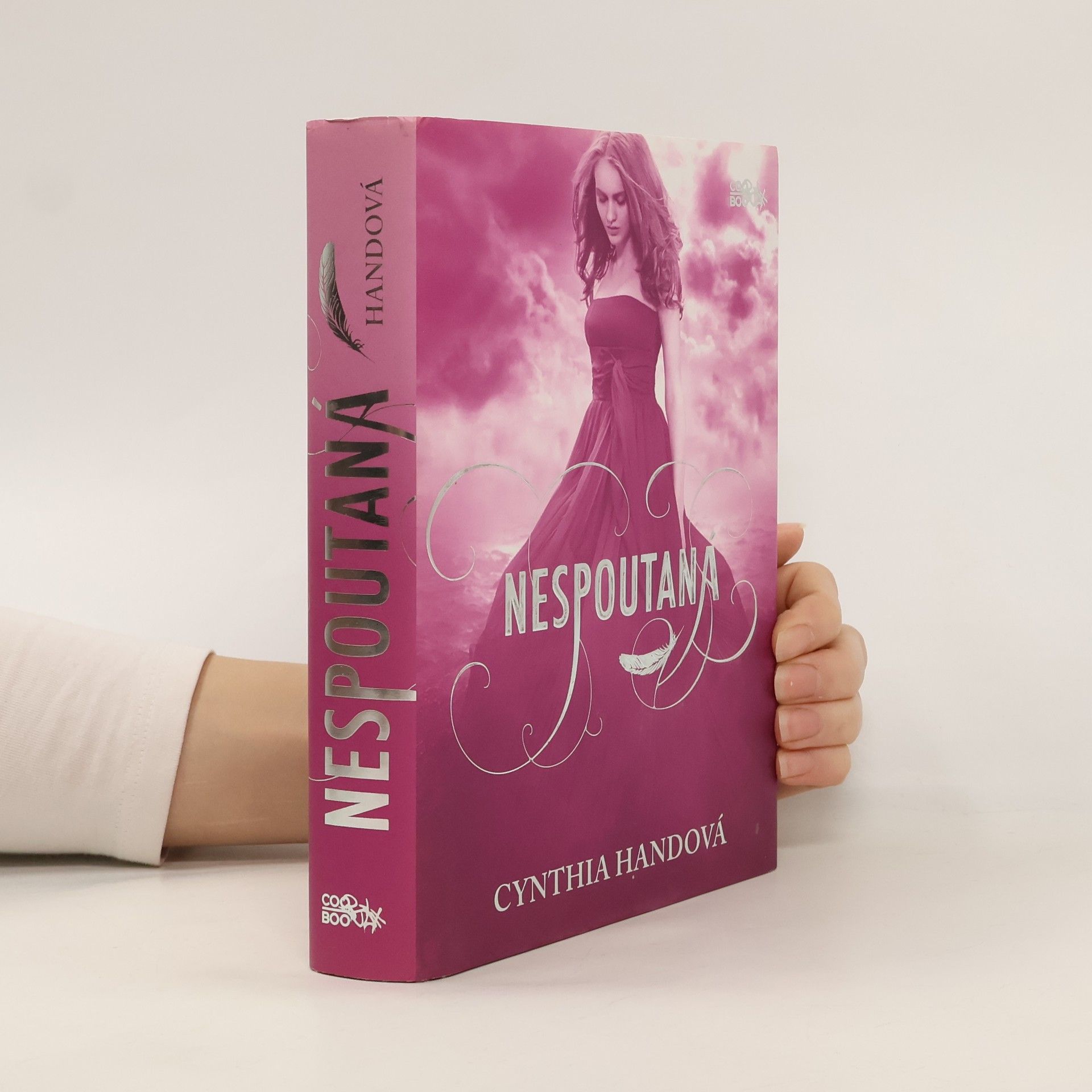 Cynthia Hand Nespoutaná. Třetí díl