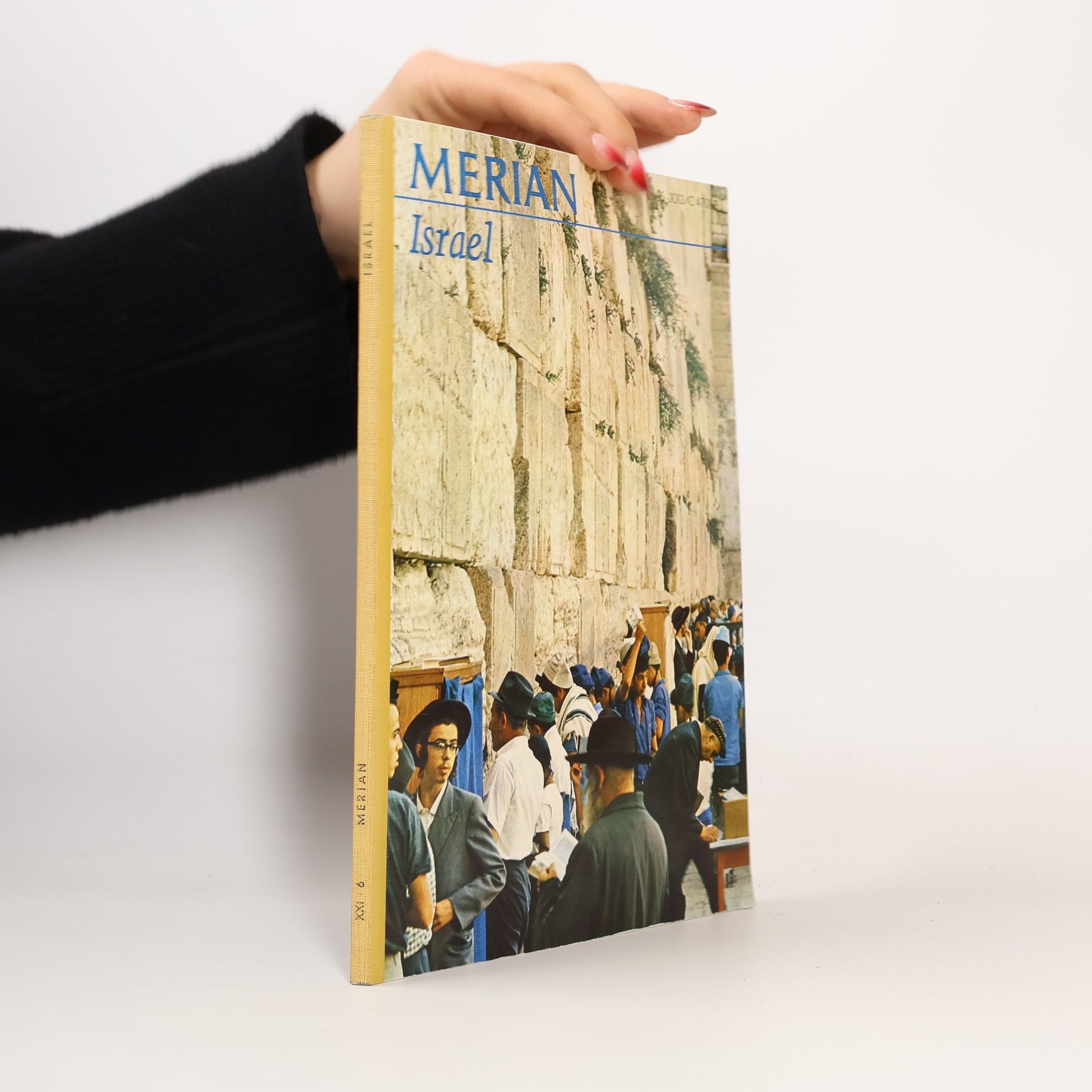 Autores varios Merian Israel