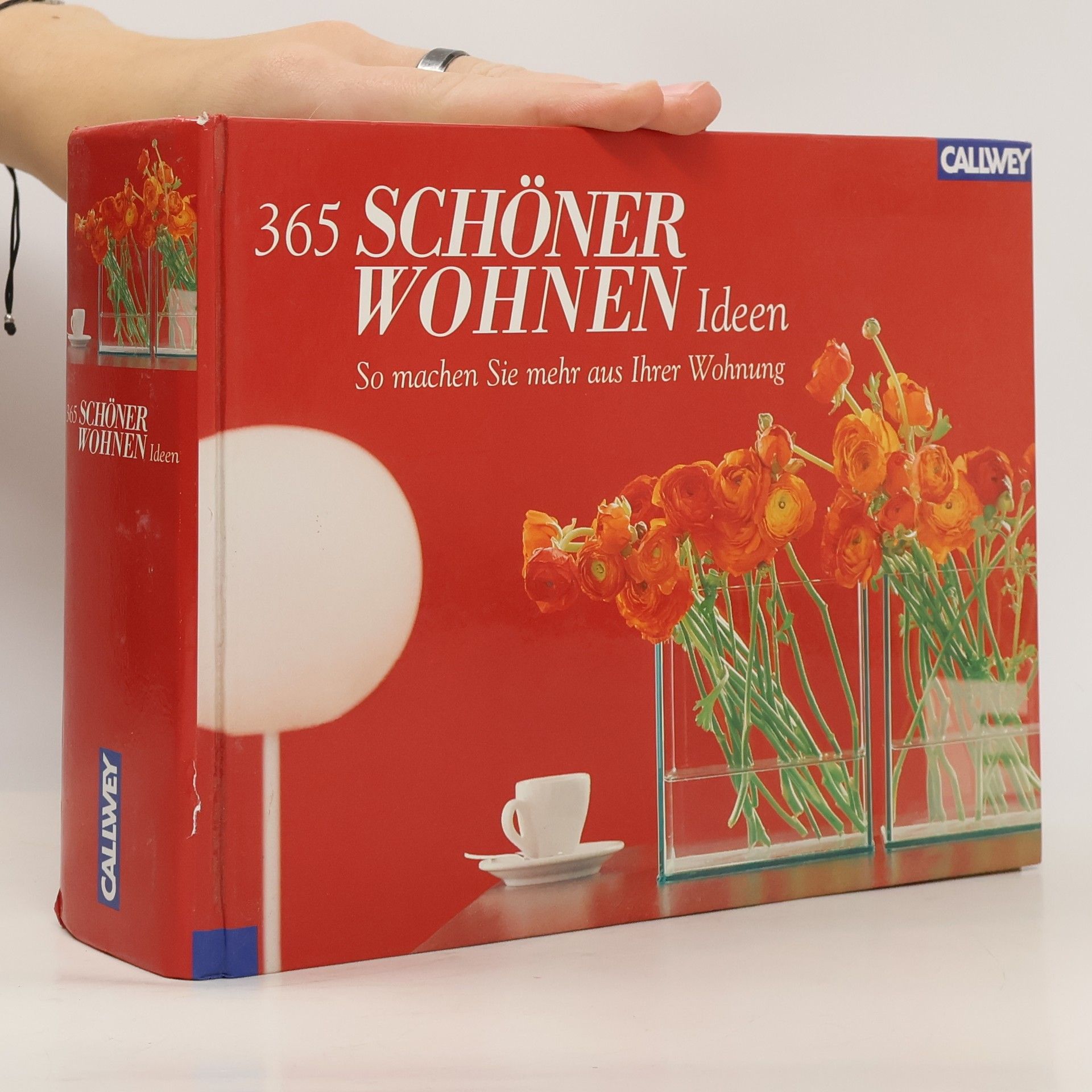 Ilex Ness 365 Schöner-Wohnen-Ideen