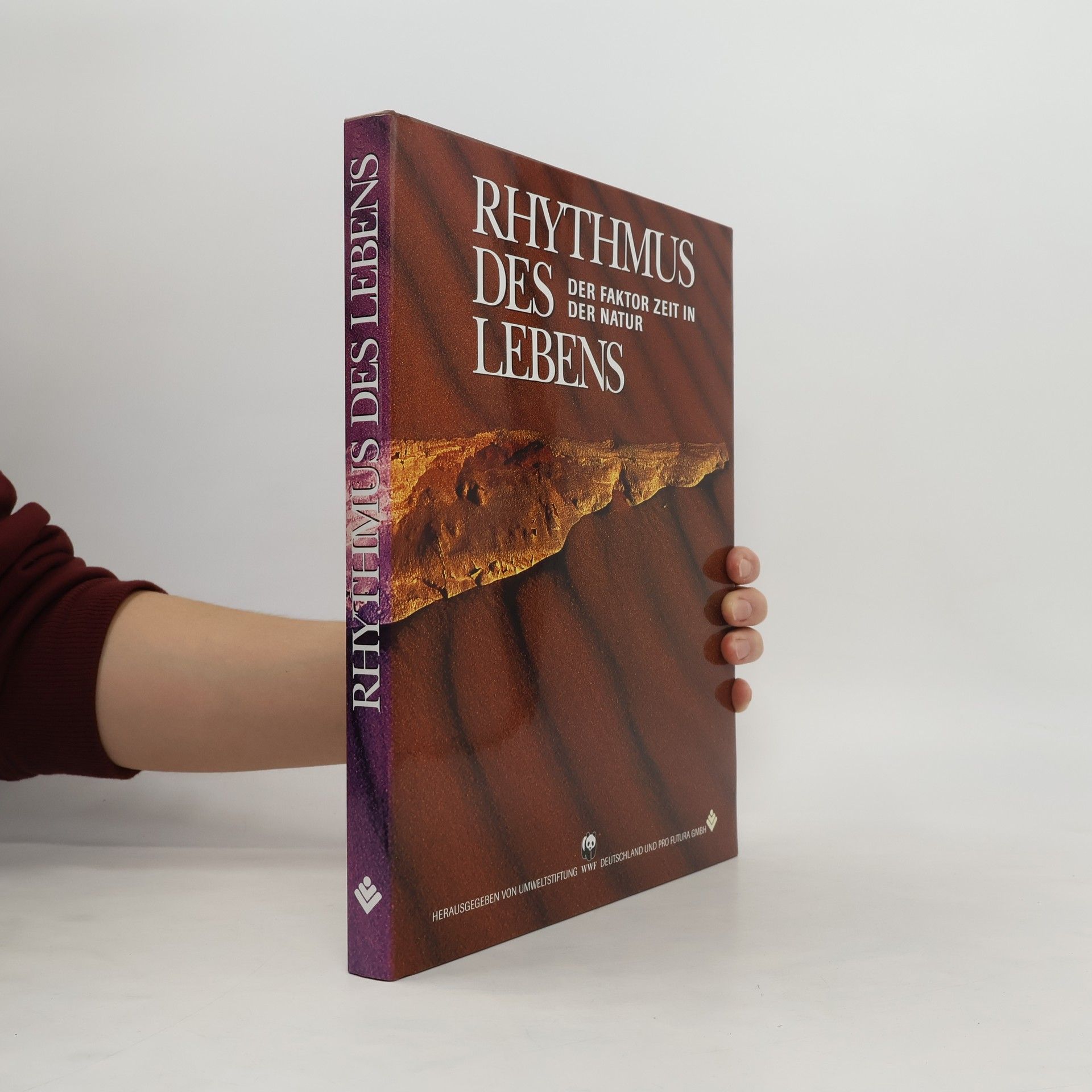 Autorenkollektiv Rhytmus des Lebens: Der Faktor Zeit in der Natur