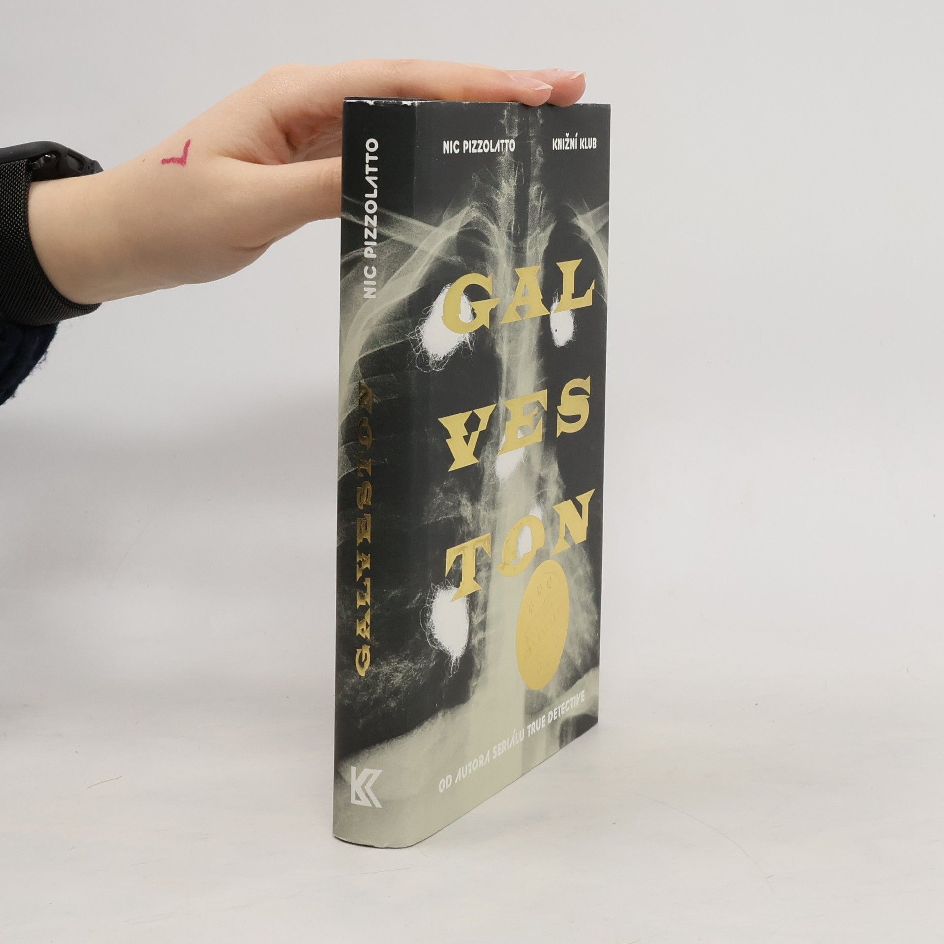 Nic Pizzolatto Galveston