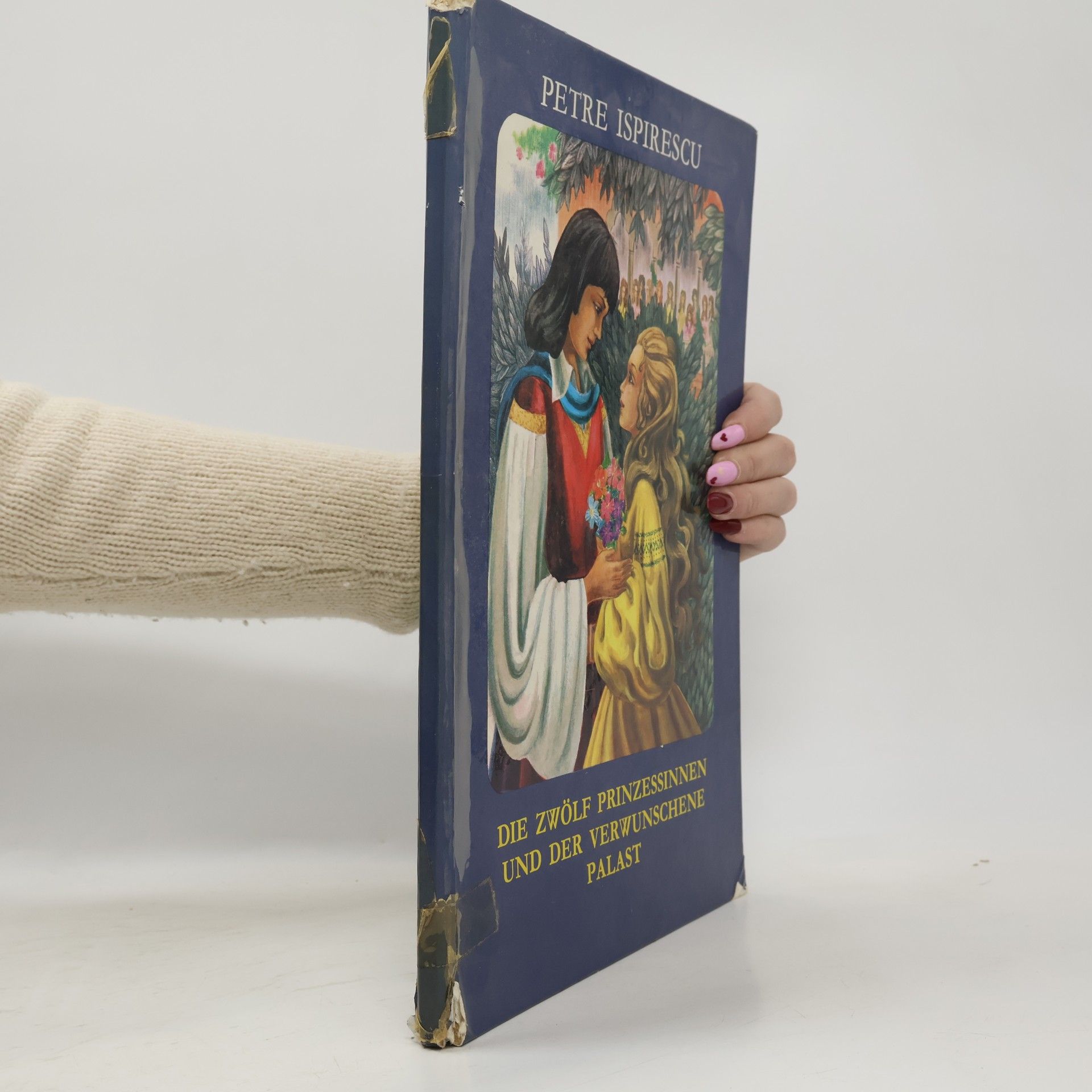 Die zwölf Prinzessinnen und der verwunschene Palast