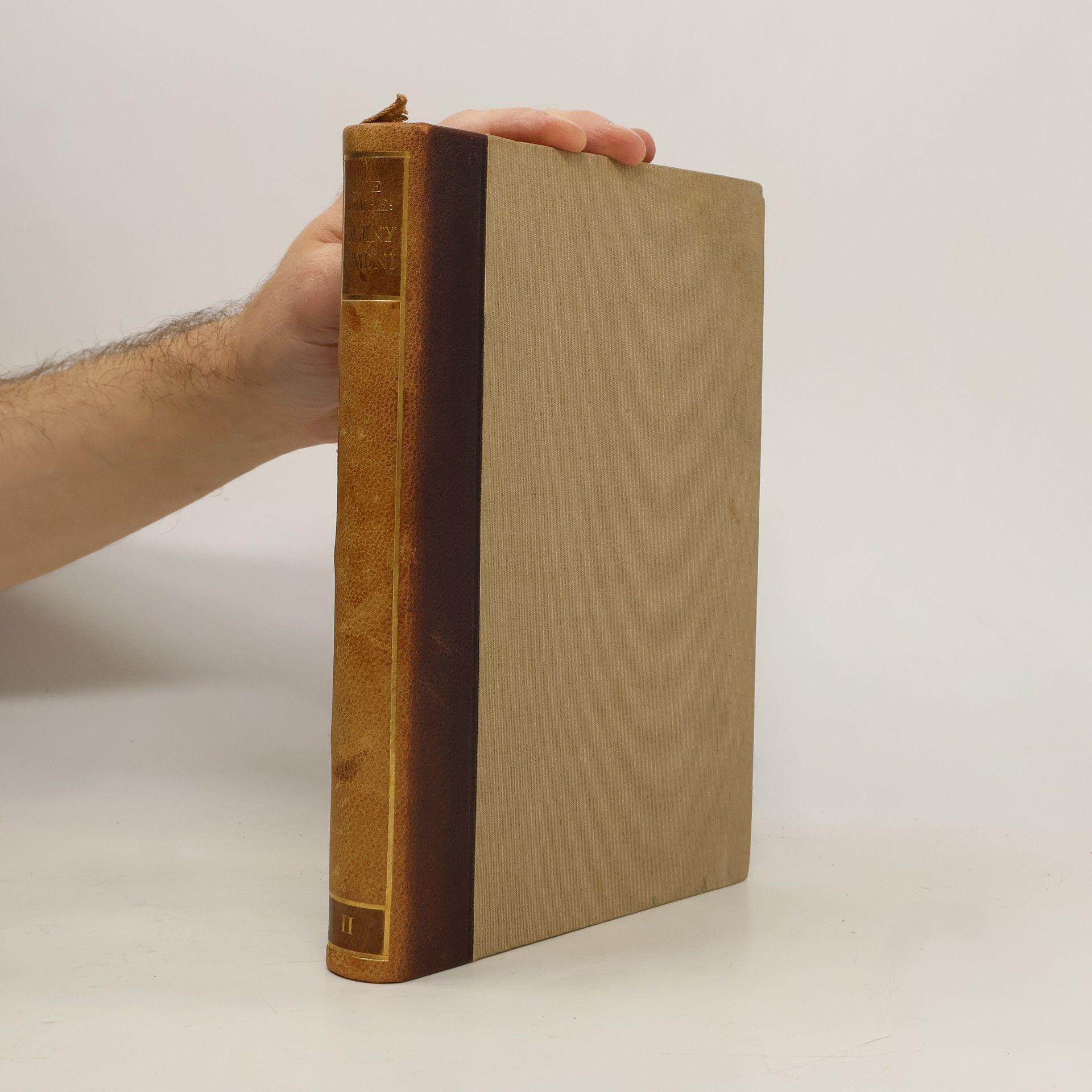 Elie Faure Dějiny umění II.