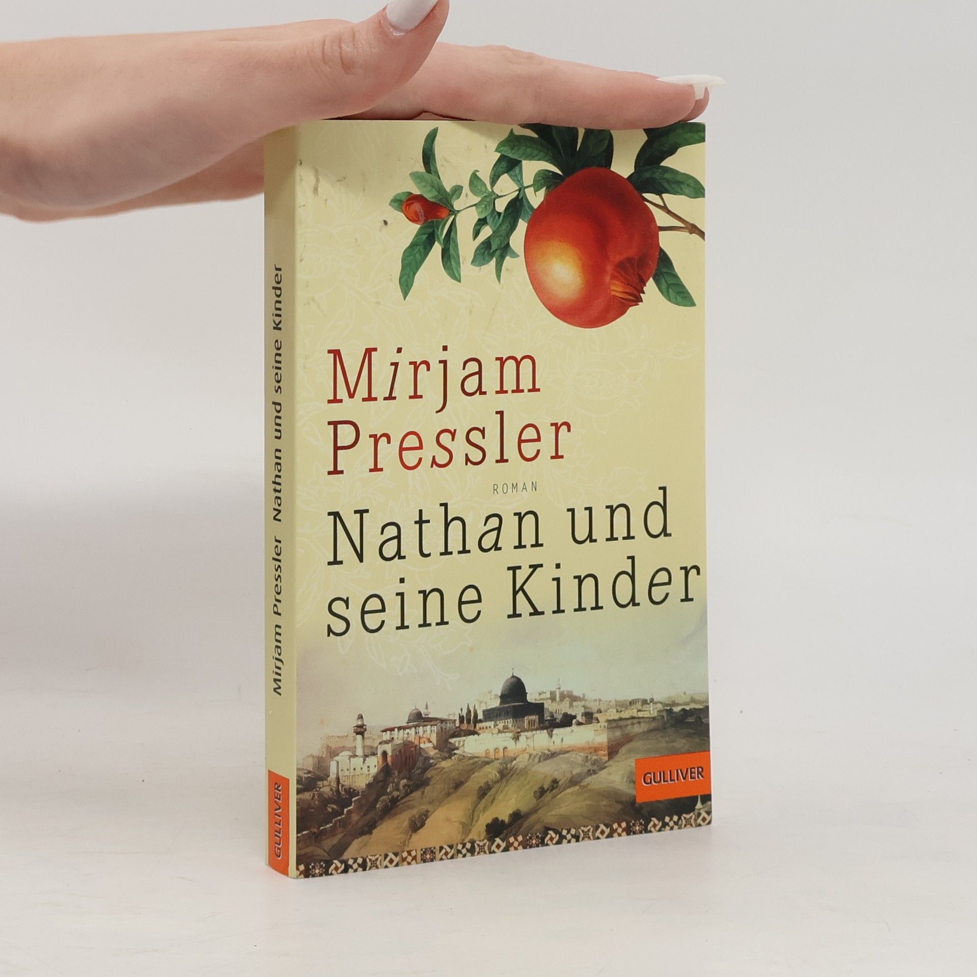 Mirjam Pressler Nathan und seine Kinder