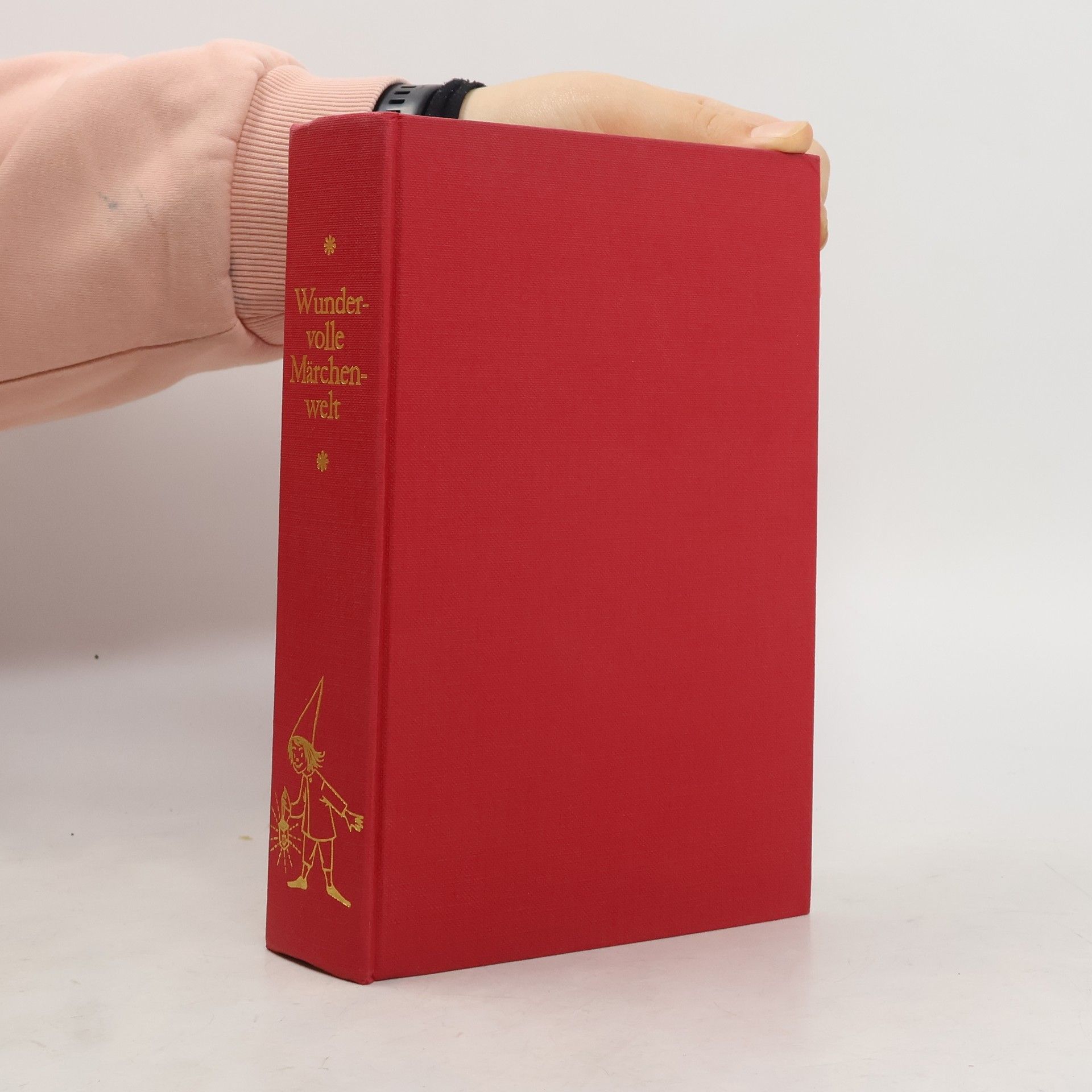 Collectif d'auteurs Wundervolle Märchenwelt