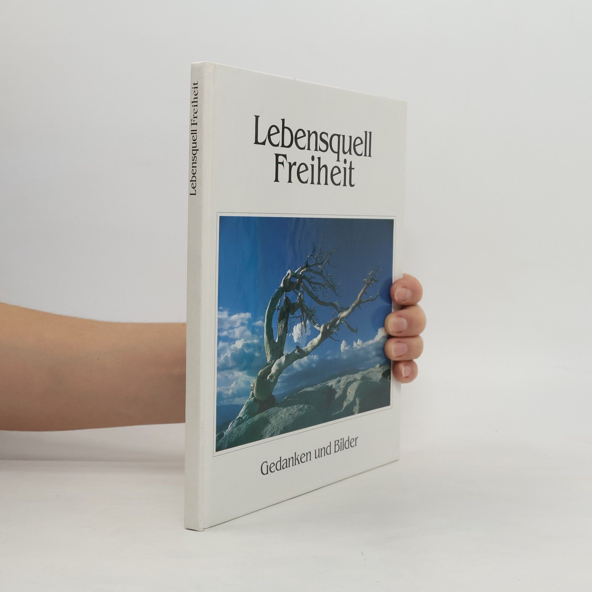 Kolektív autorov Lebensquell Freiheit